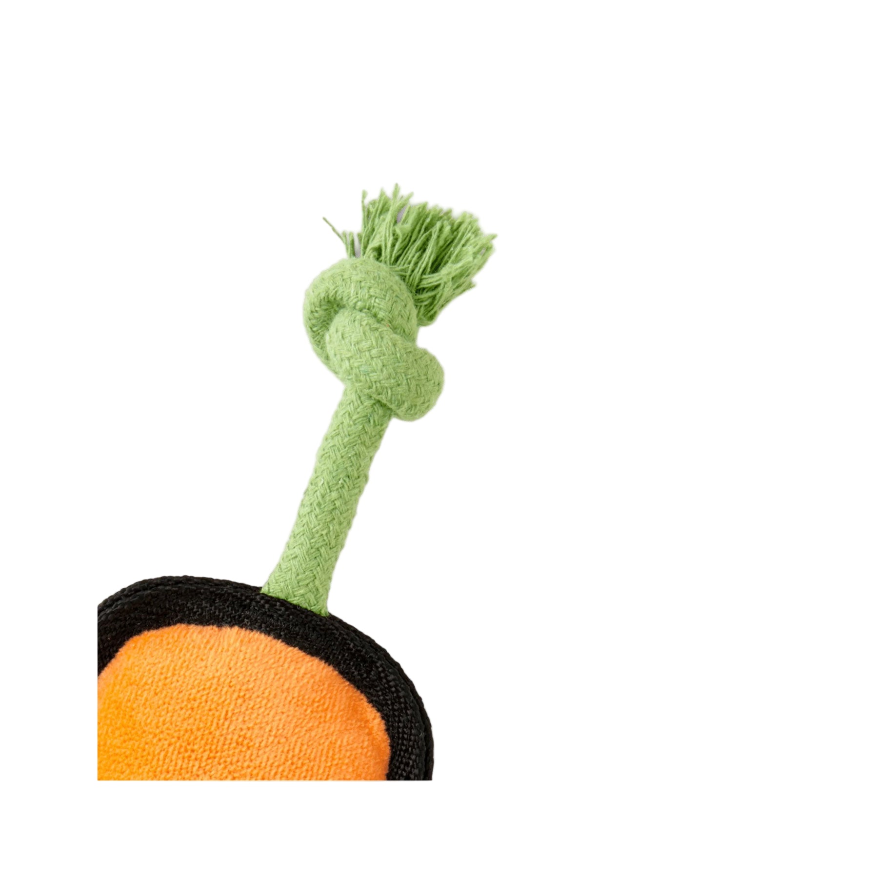 Beco recycled rough and tough carrot medium