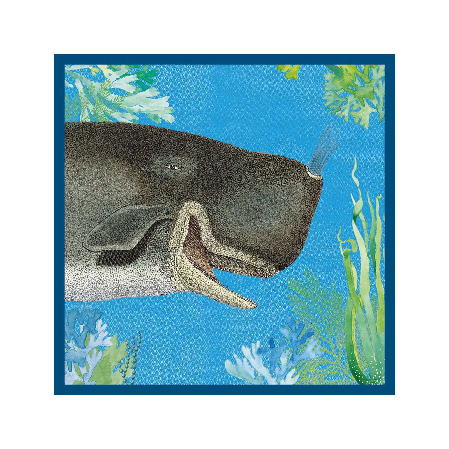 Cetacean greetings card