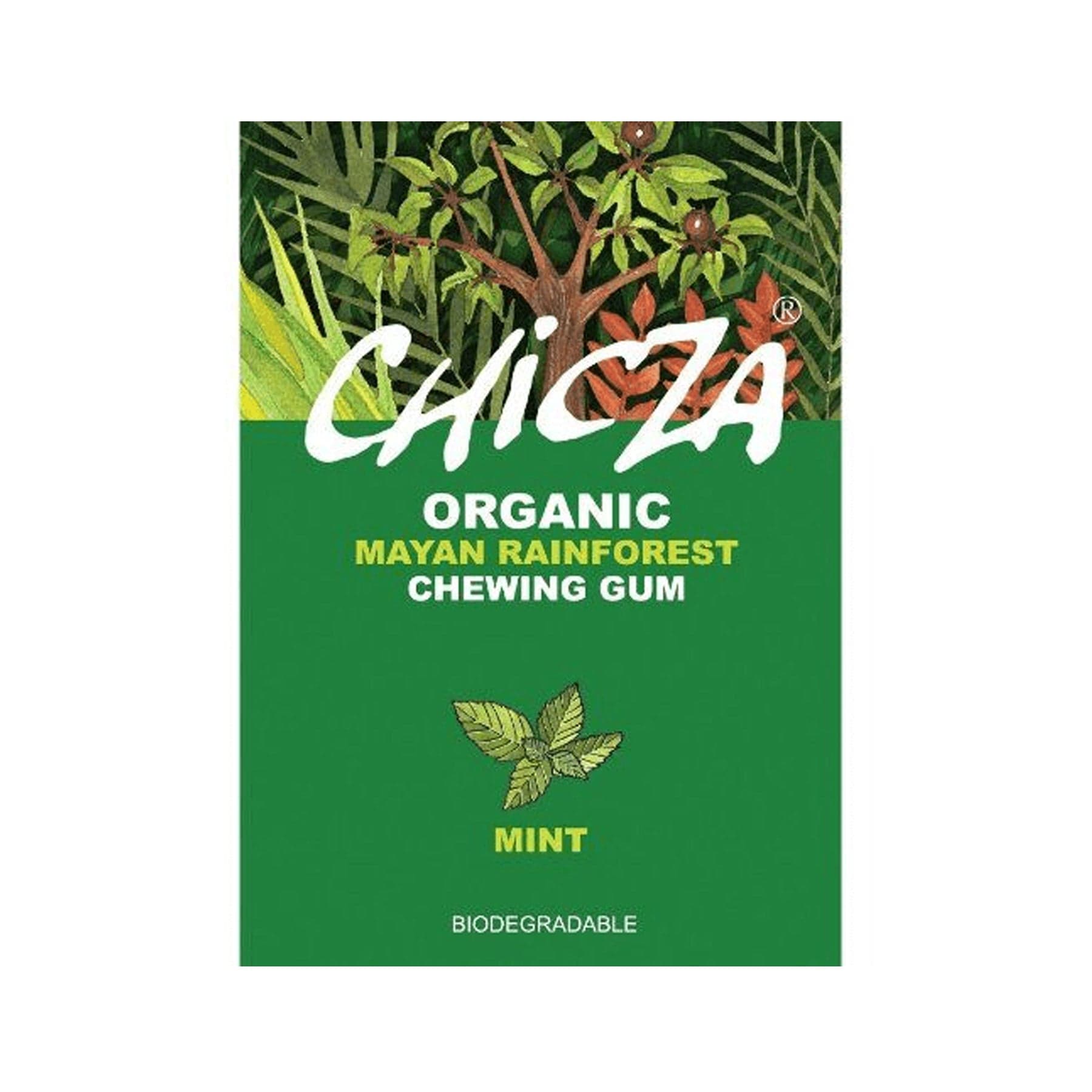 Alt text: Chicza organic Mayan rainforest chewing gum packaging with mint flavor, featuring lush greenery and the biodegradable product claim.