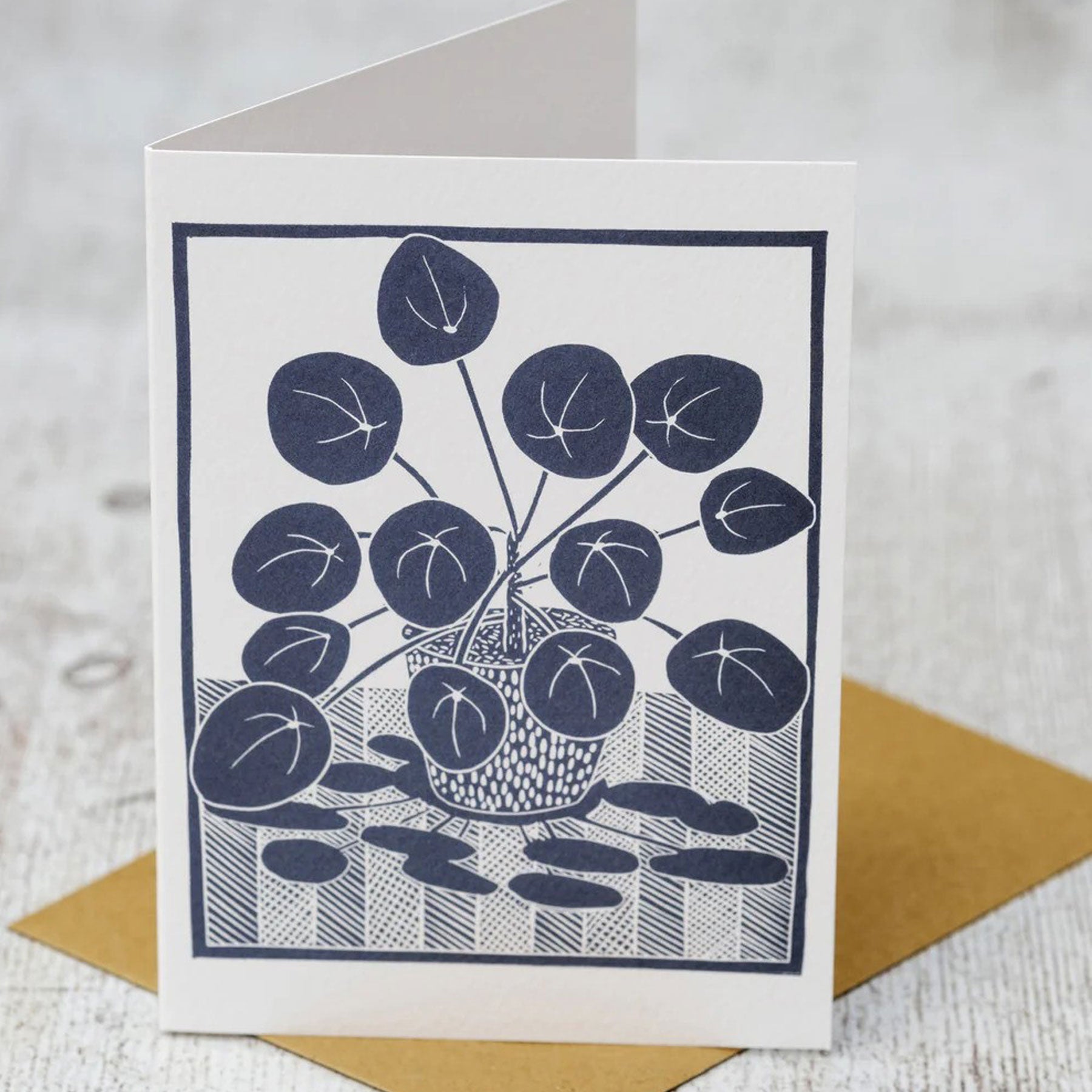 Chinese money plant greetings card