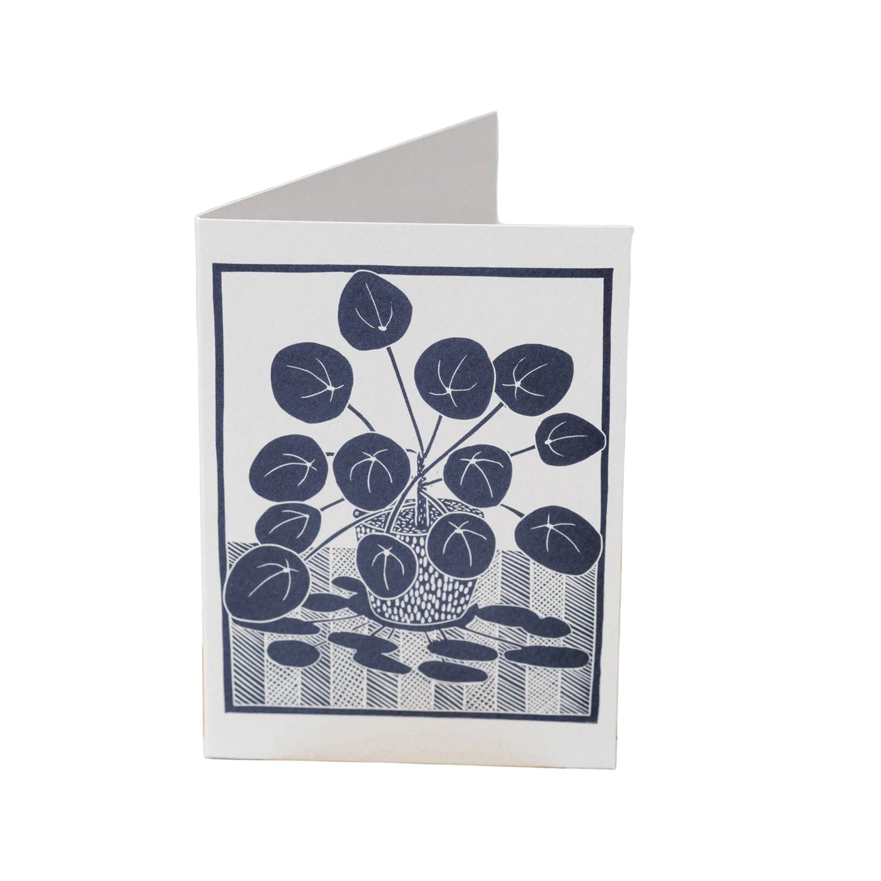Chinese money plant greetings card