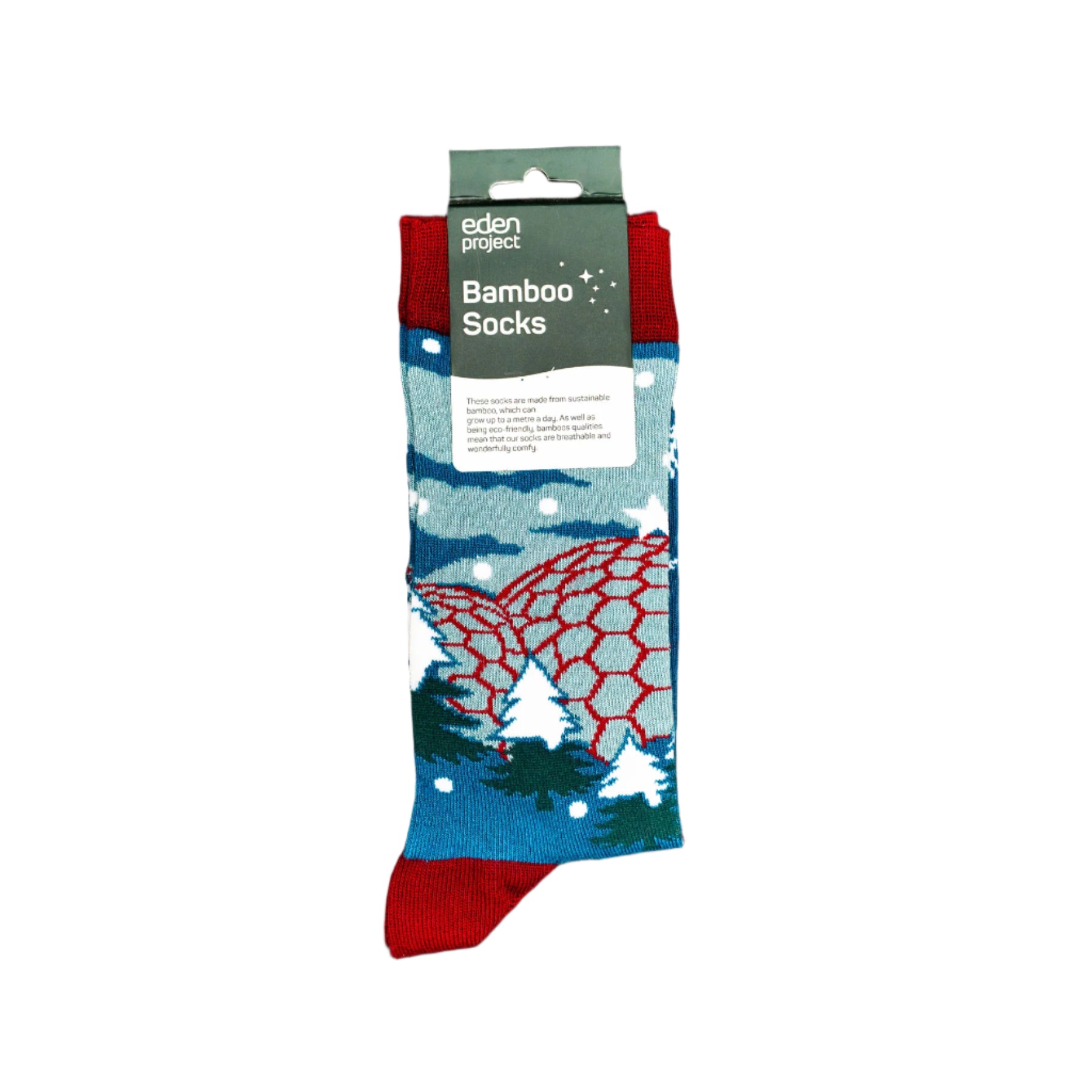 Christmas scene socks