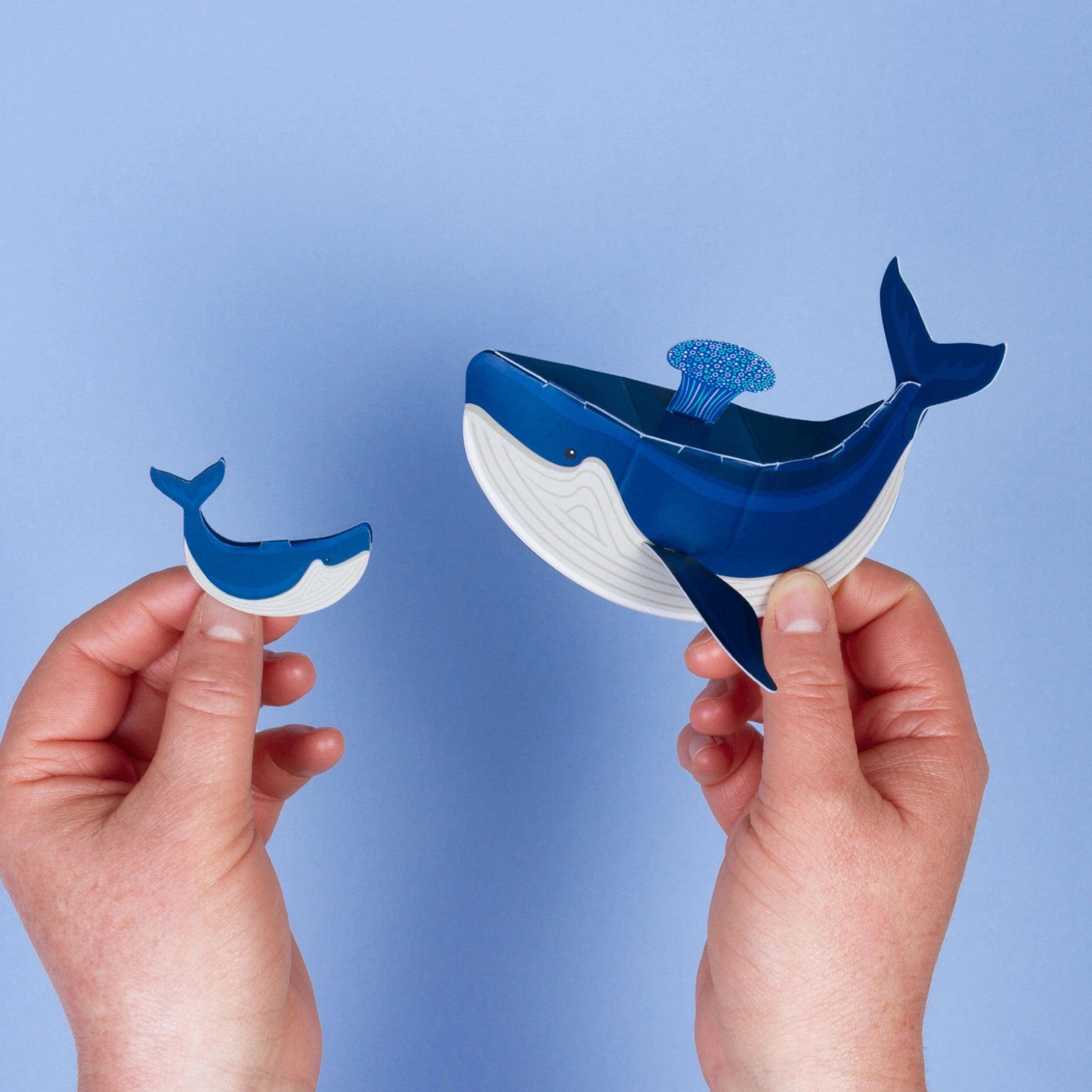 Hands holding cut-out paper art of a whale with a flip-open head revealing colorful coral inside against a blue background