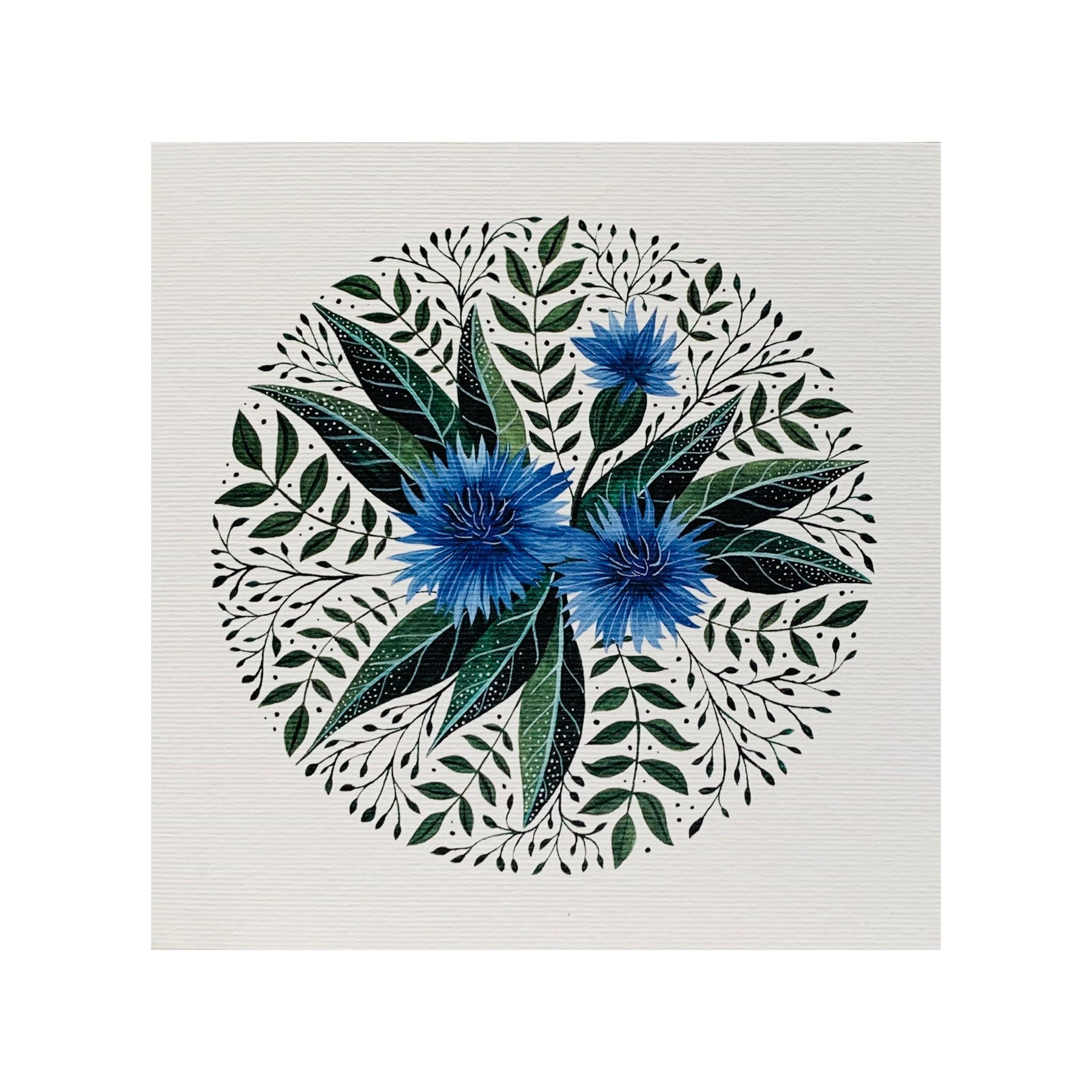 Cornflower greetings card