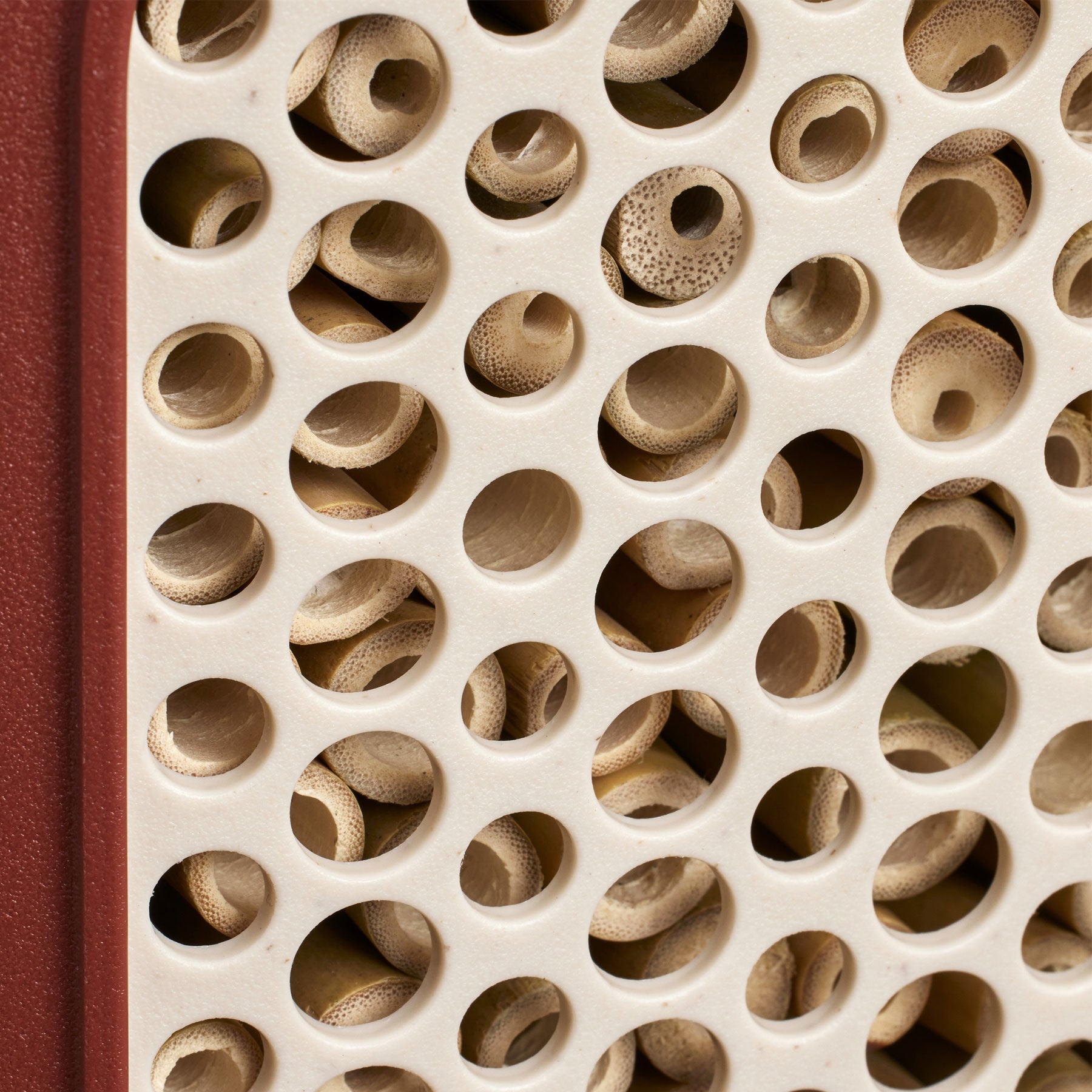 Cosy insect hotel