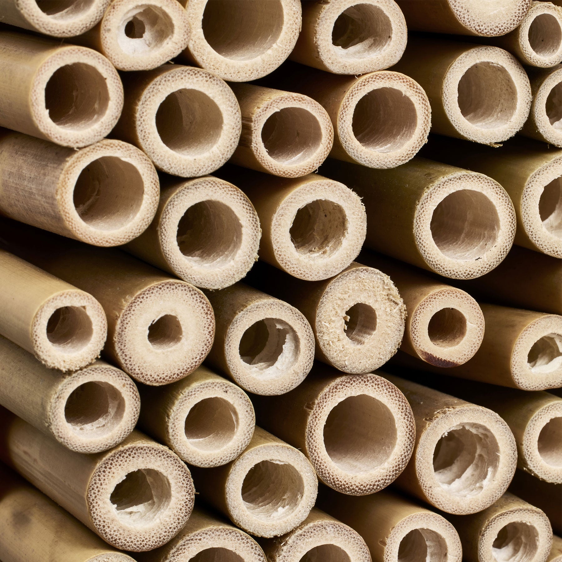 Cosy insect hotel