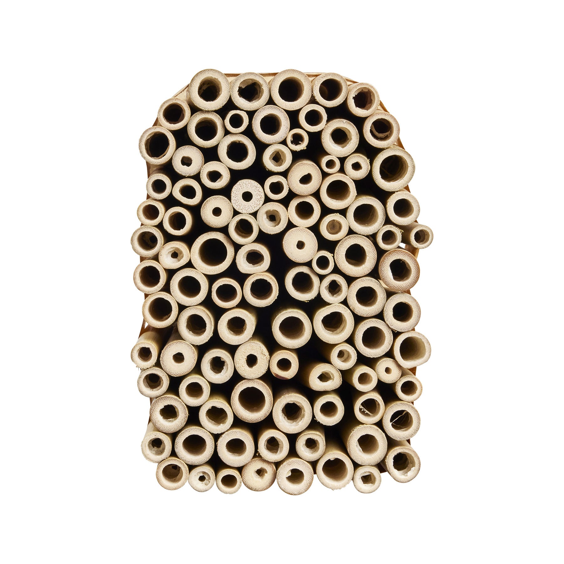 Cosy insect hotel