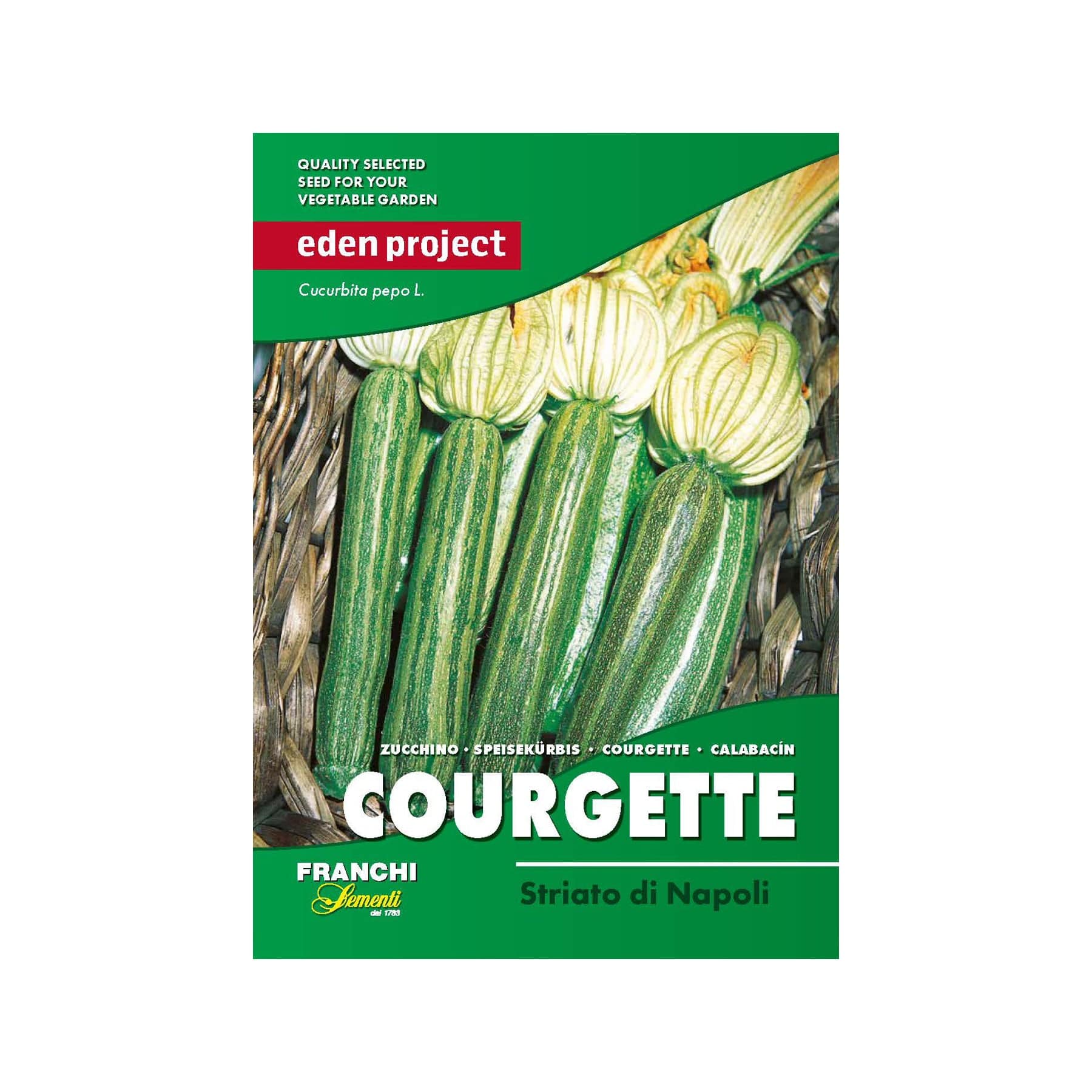 Courgette striato seeds