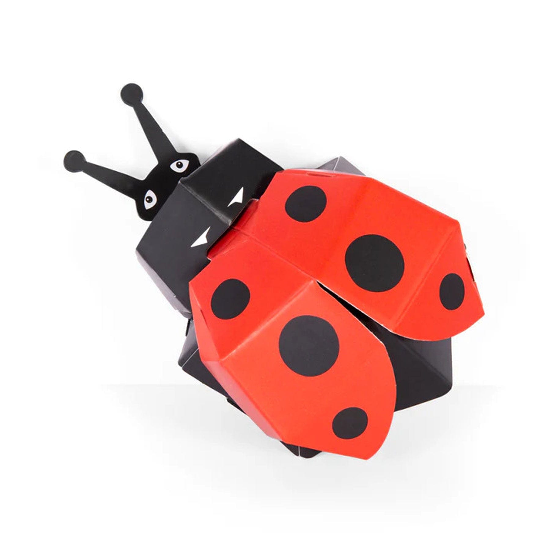 Create your own lovely ladybird