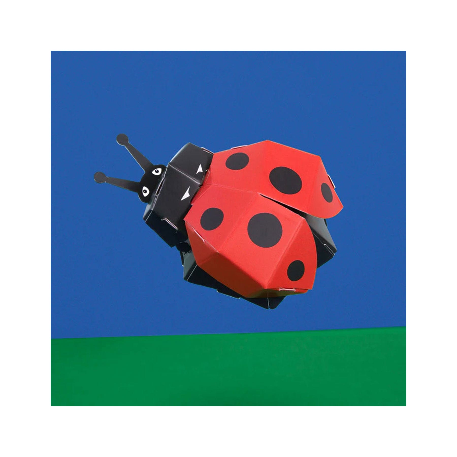 Create your own lovely ladybird