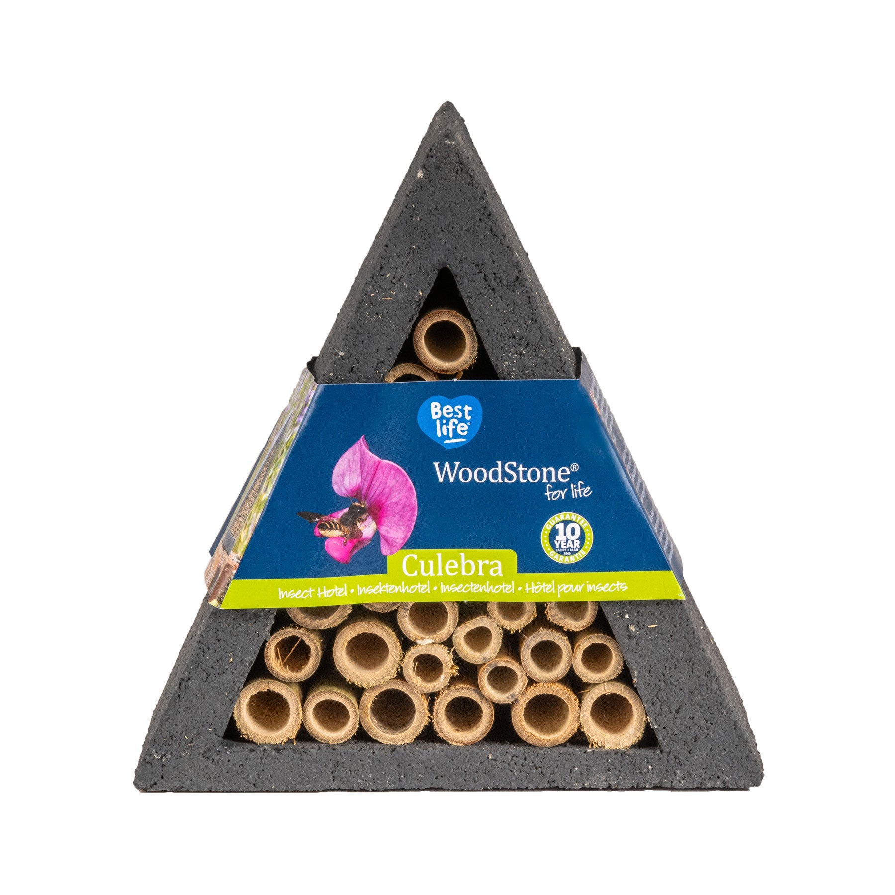 Culebra insect house