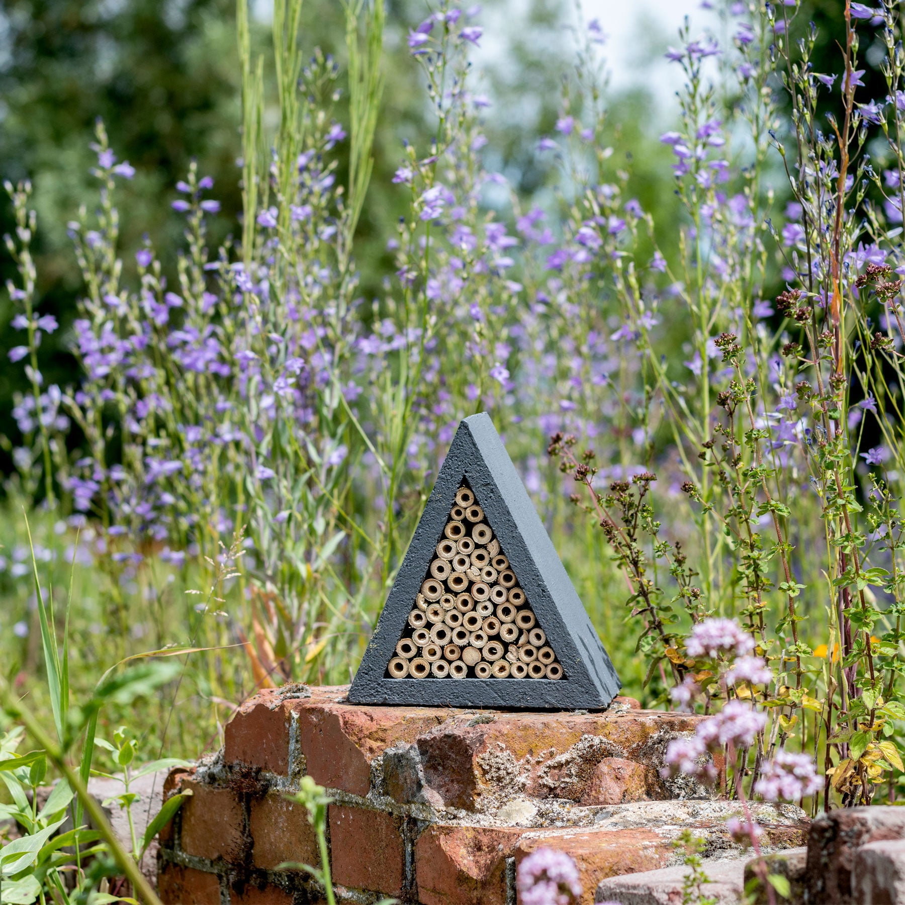 Culebra insect house