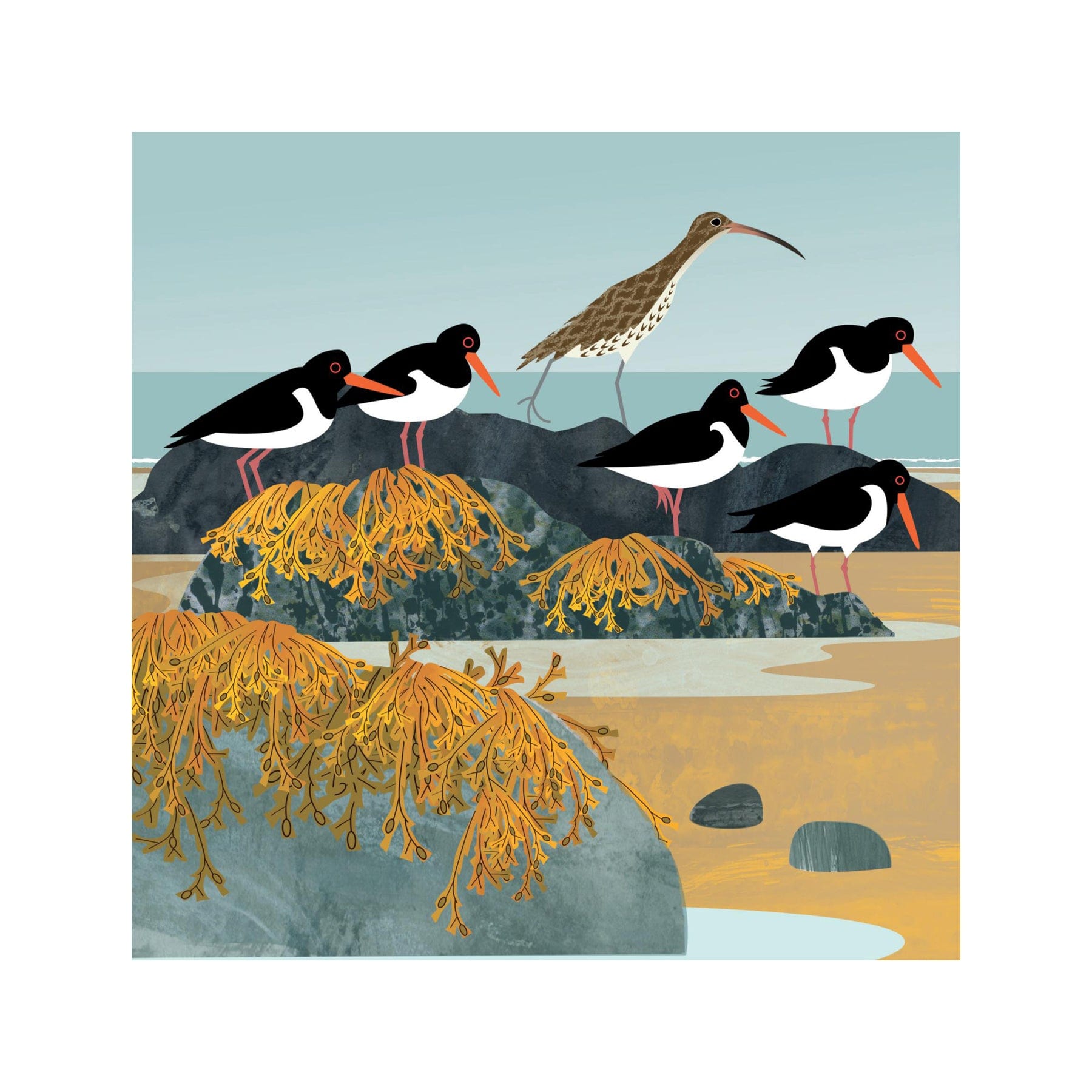 Curlew & oystercatchers greetings card