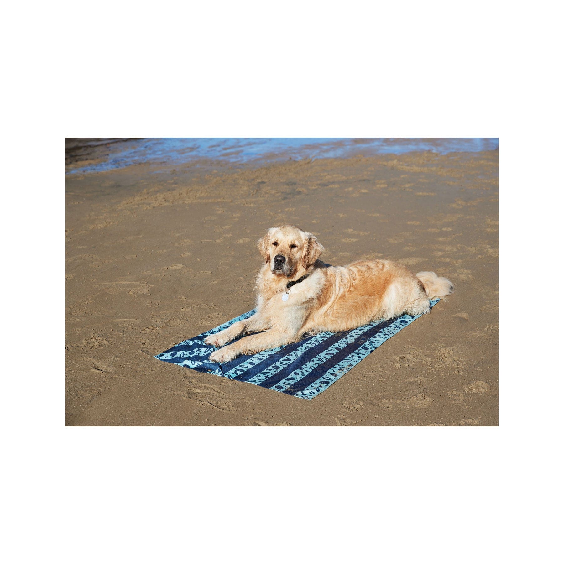 Dog towel bark blue