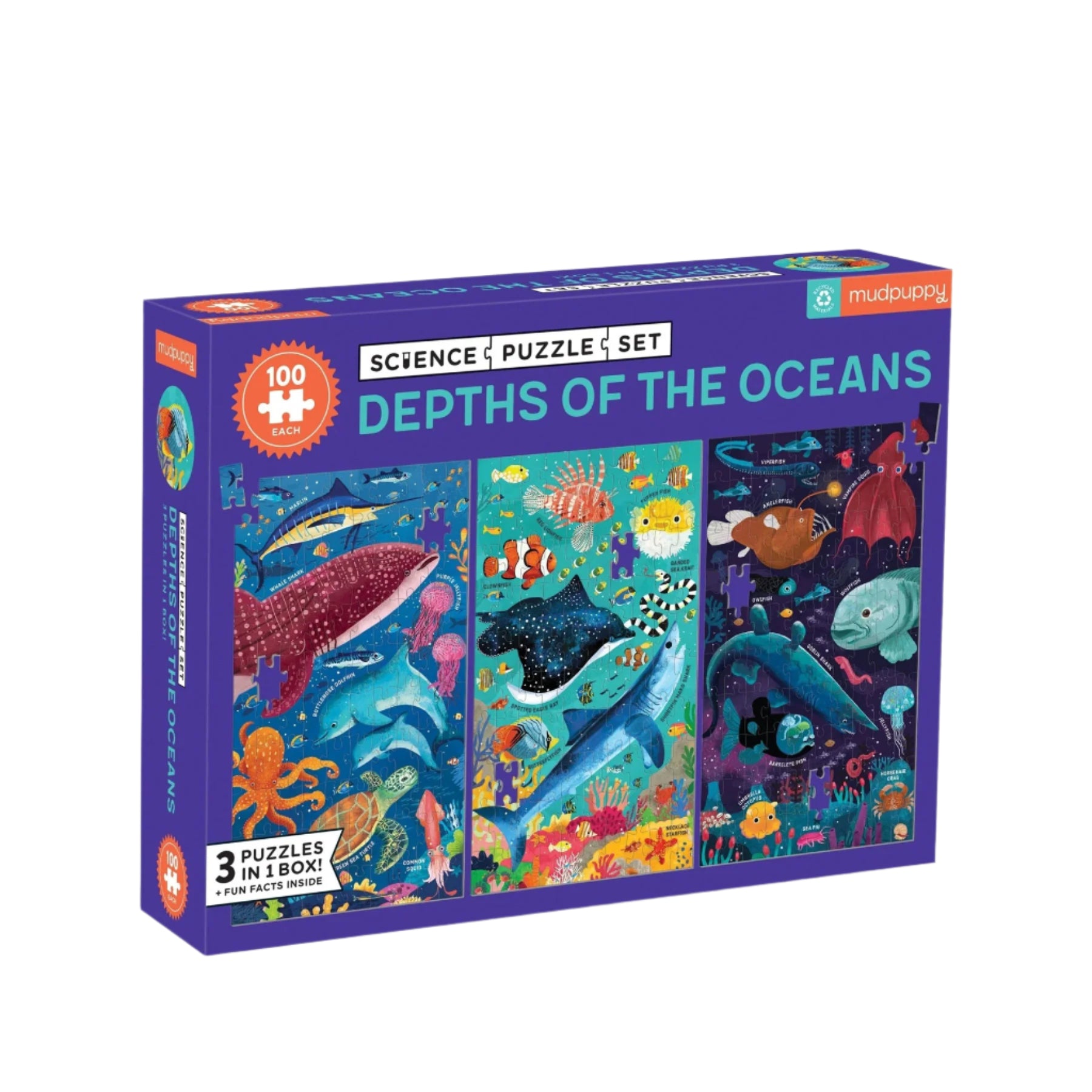 Depths of the oceans science puzzle set
