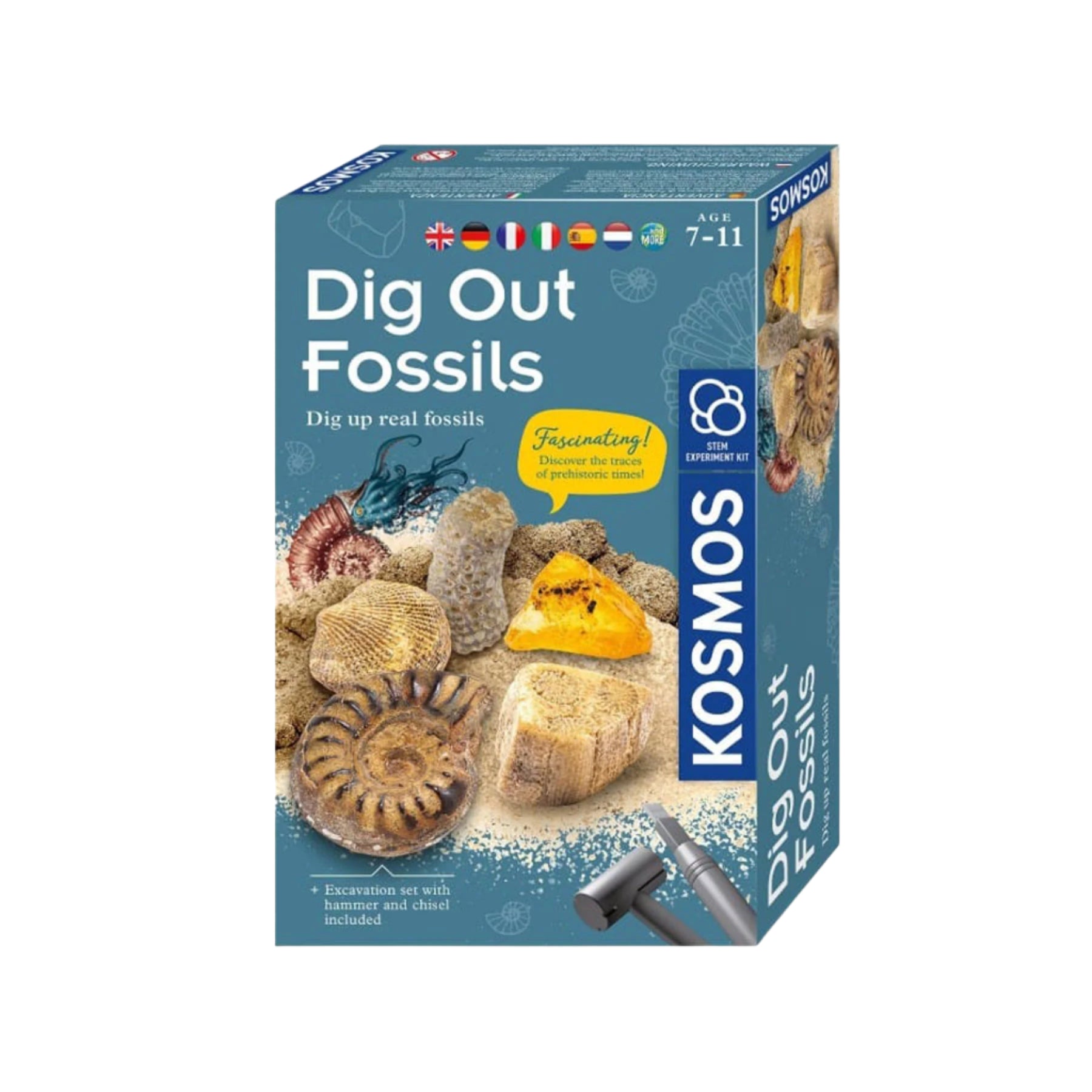Dig out fossils