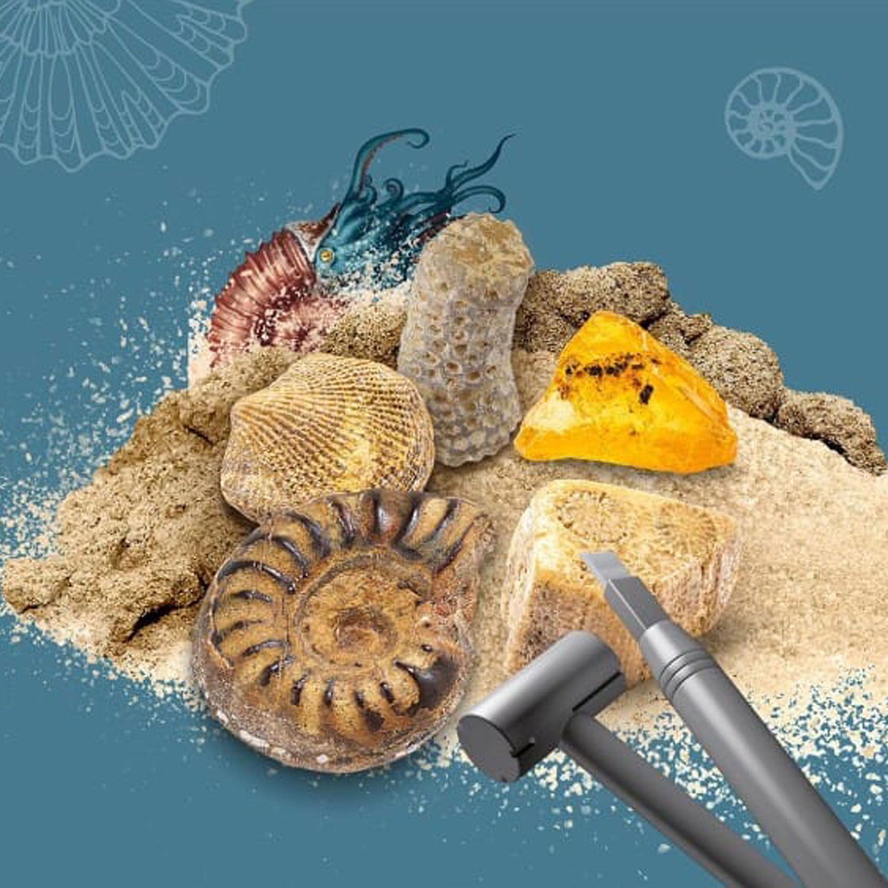 Dig out fossils