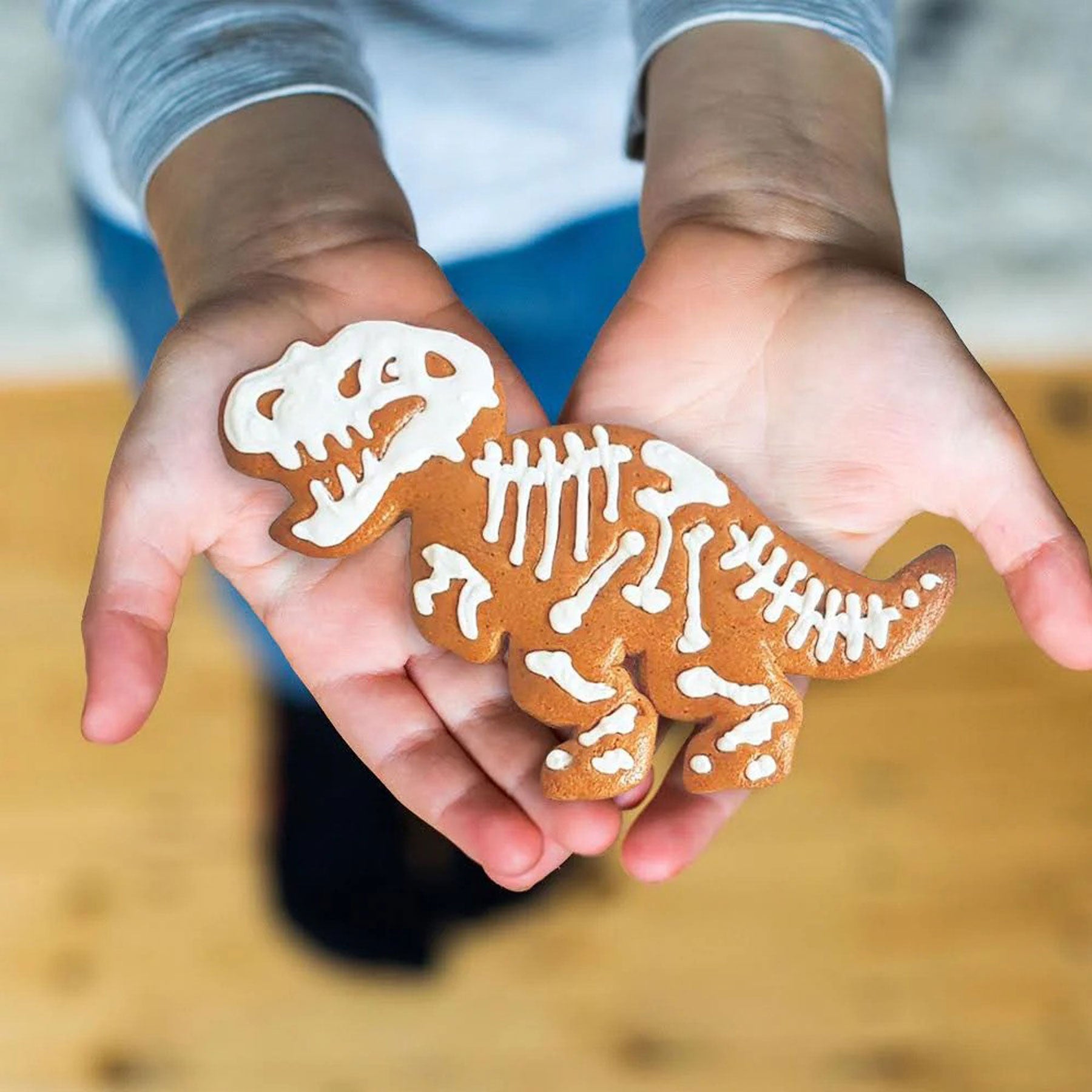 Dinosaur t-rex fossil biscuits & craft kit