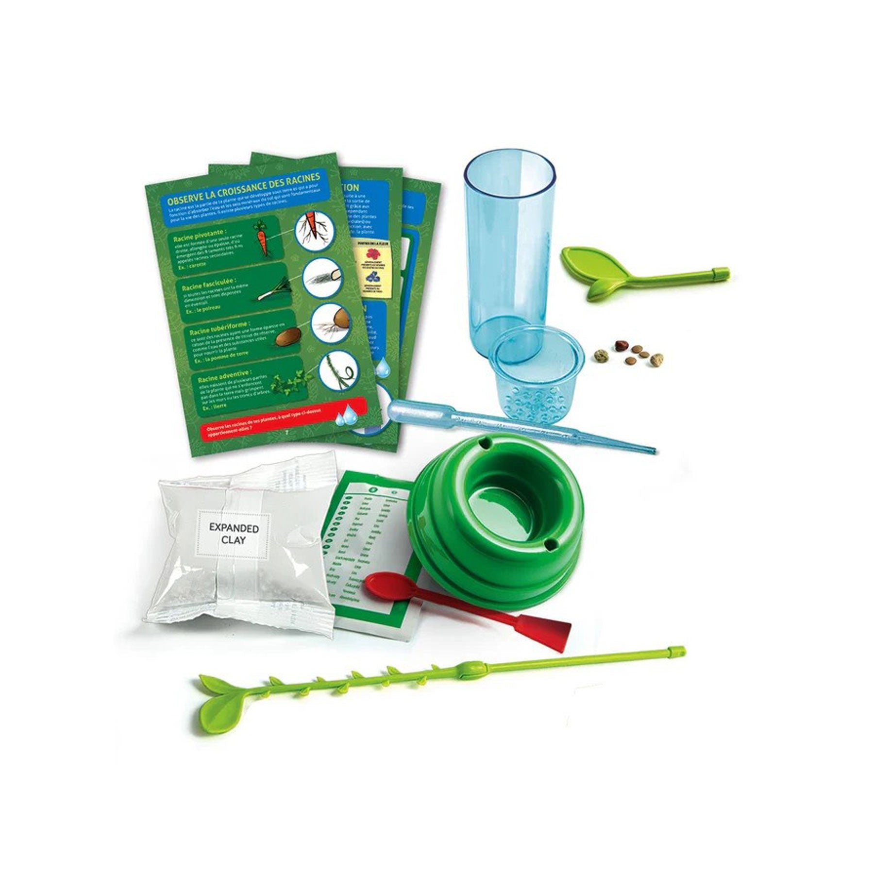 Discover hydroponics