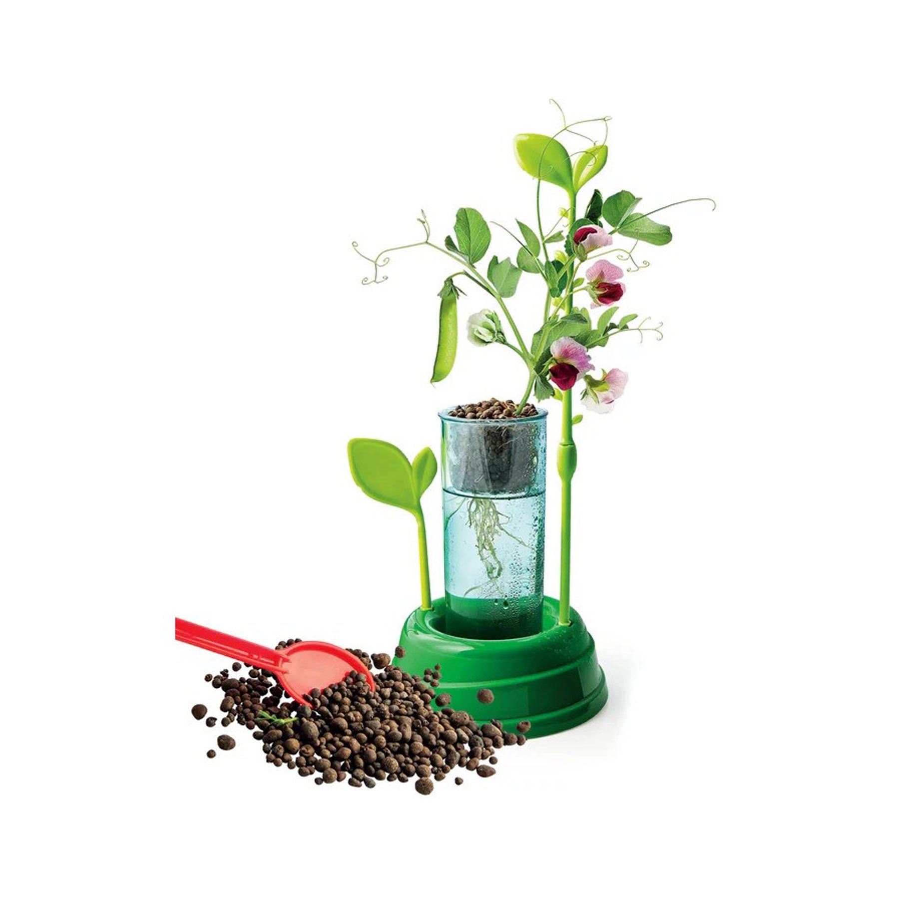Discover hydroponics