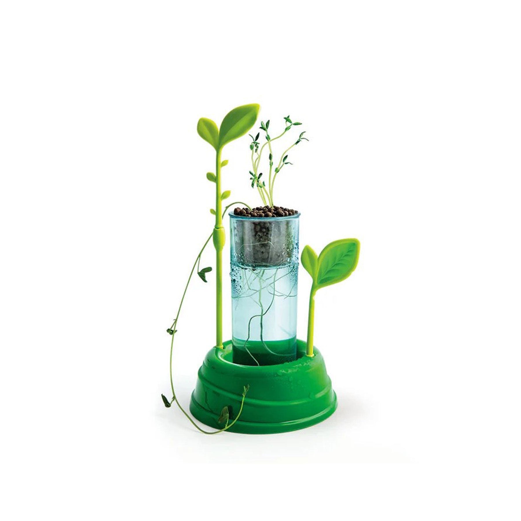 Discover hydroponics