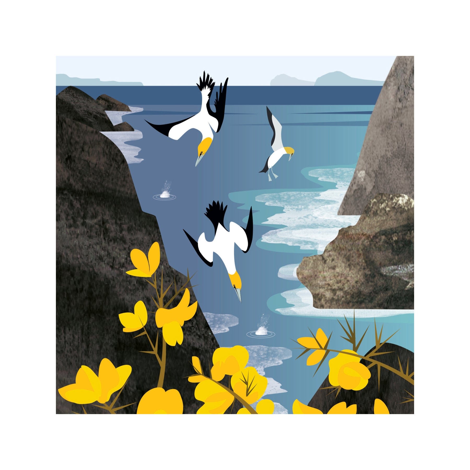 Diving gannets greetings card