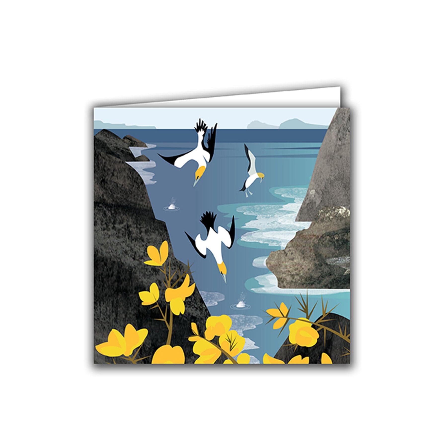 Diving gannets greetings card