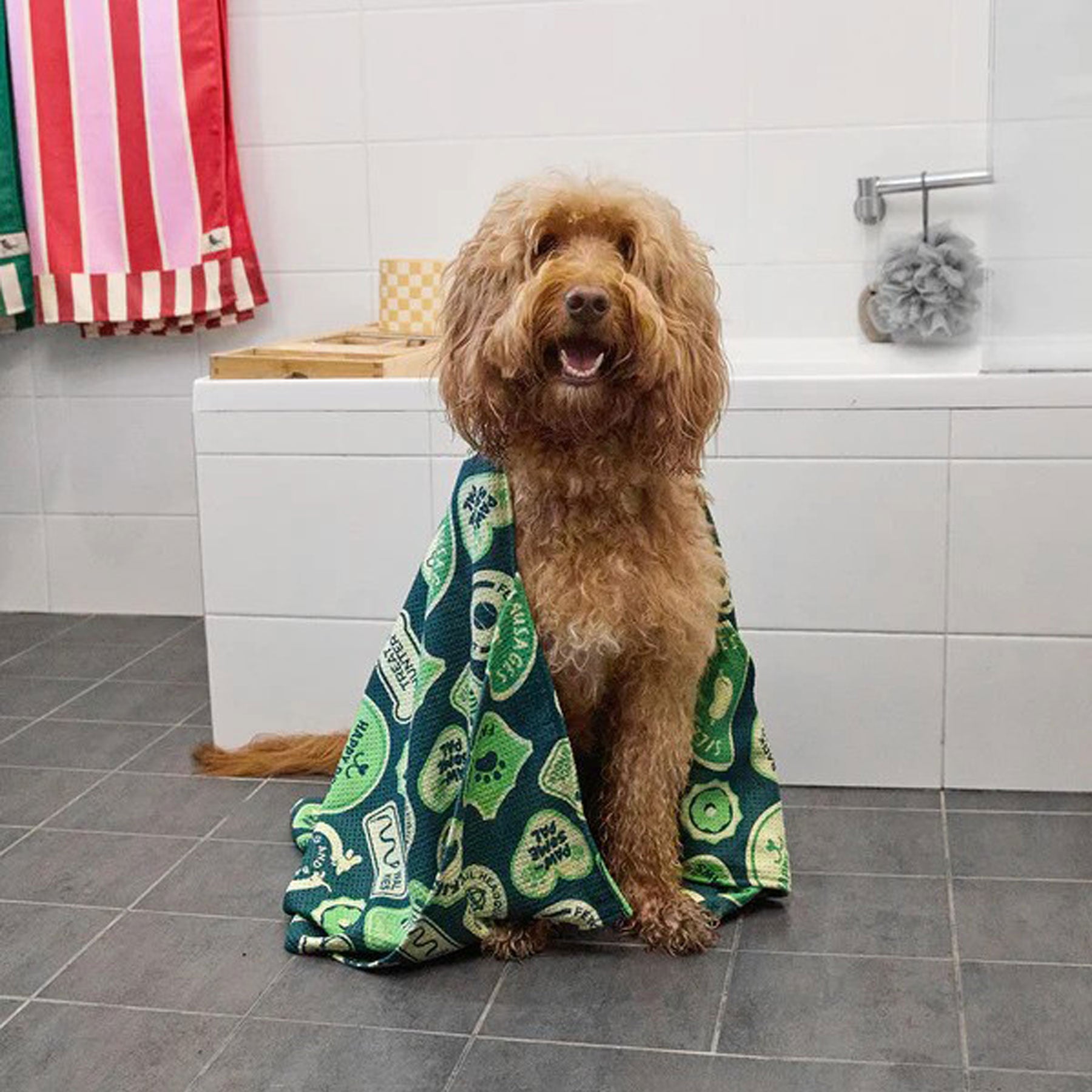 Dog & bay club dog towel