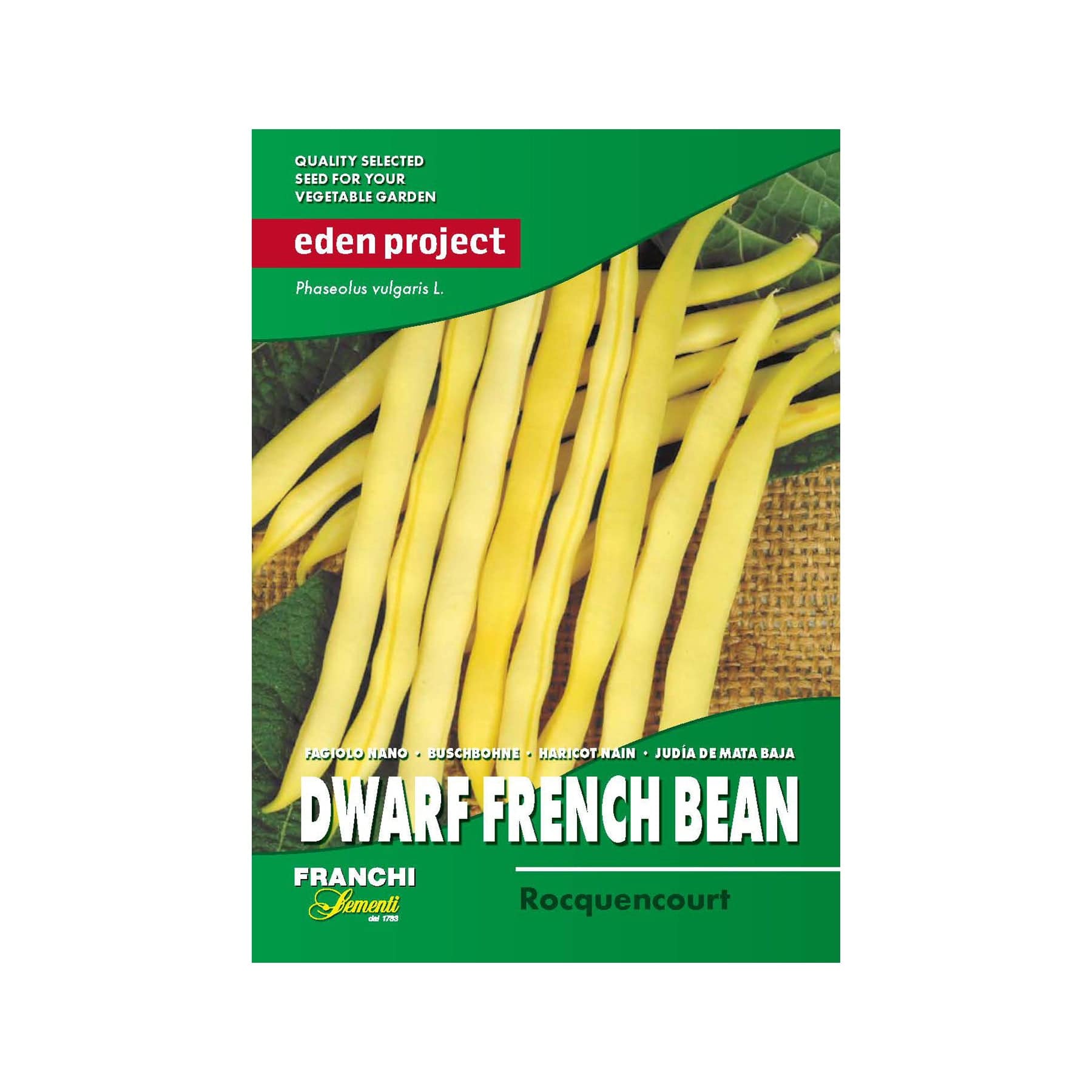 Bean rocquencourt seeds