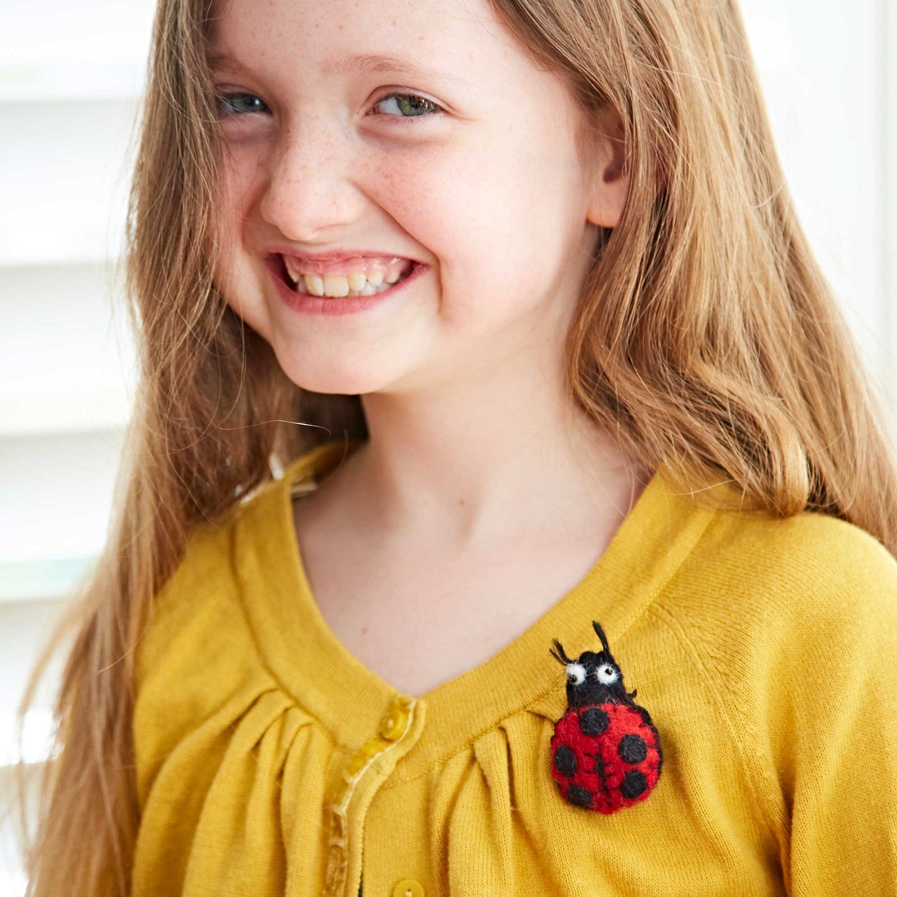 Felt ladybird brooch