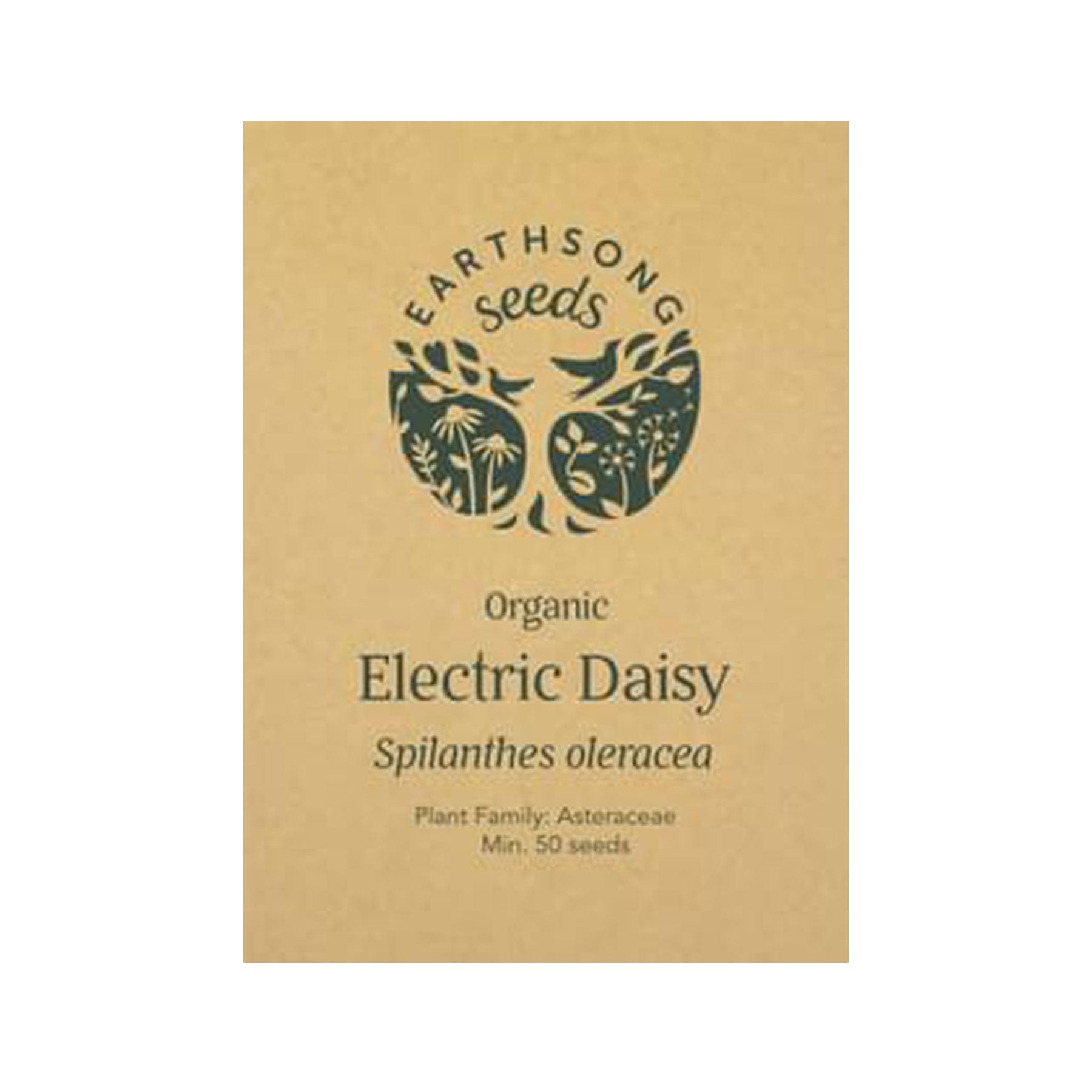 Electric daisy seed pack