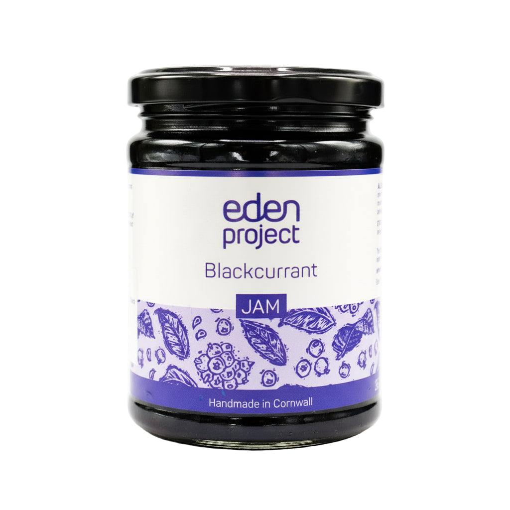 Blackcurrant jam 360g