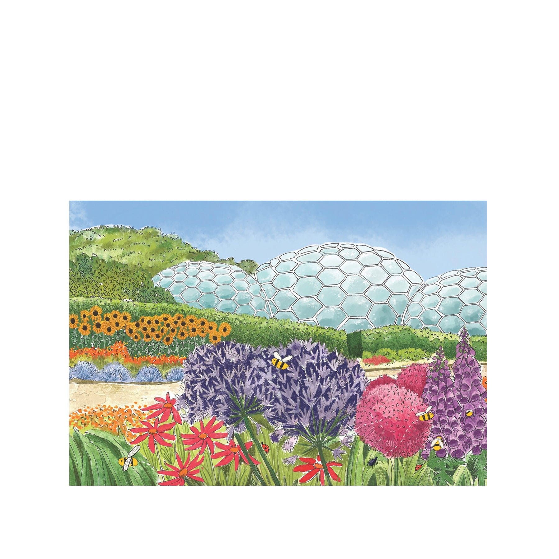 Eden Project biomes and bees greetings card