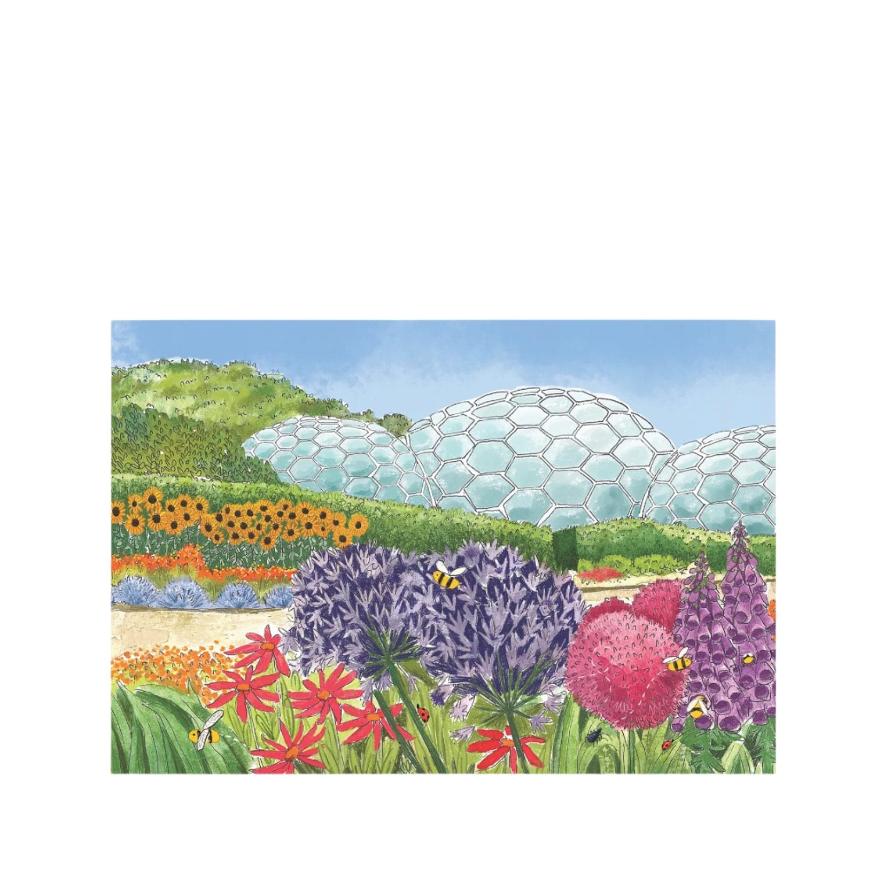 Eden Project biomes and bees A4 print