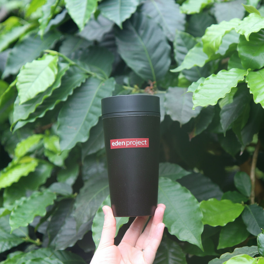 Reusable coffee cup made from coffee waste