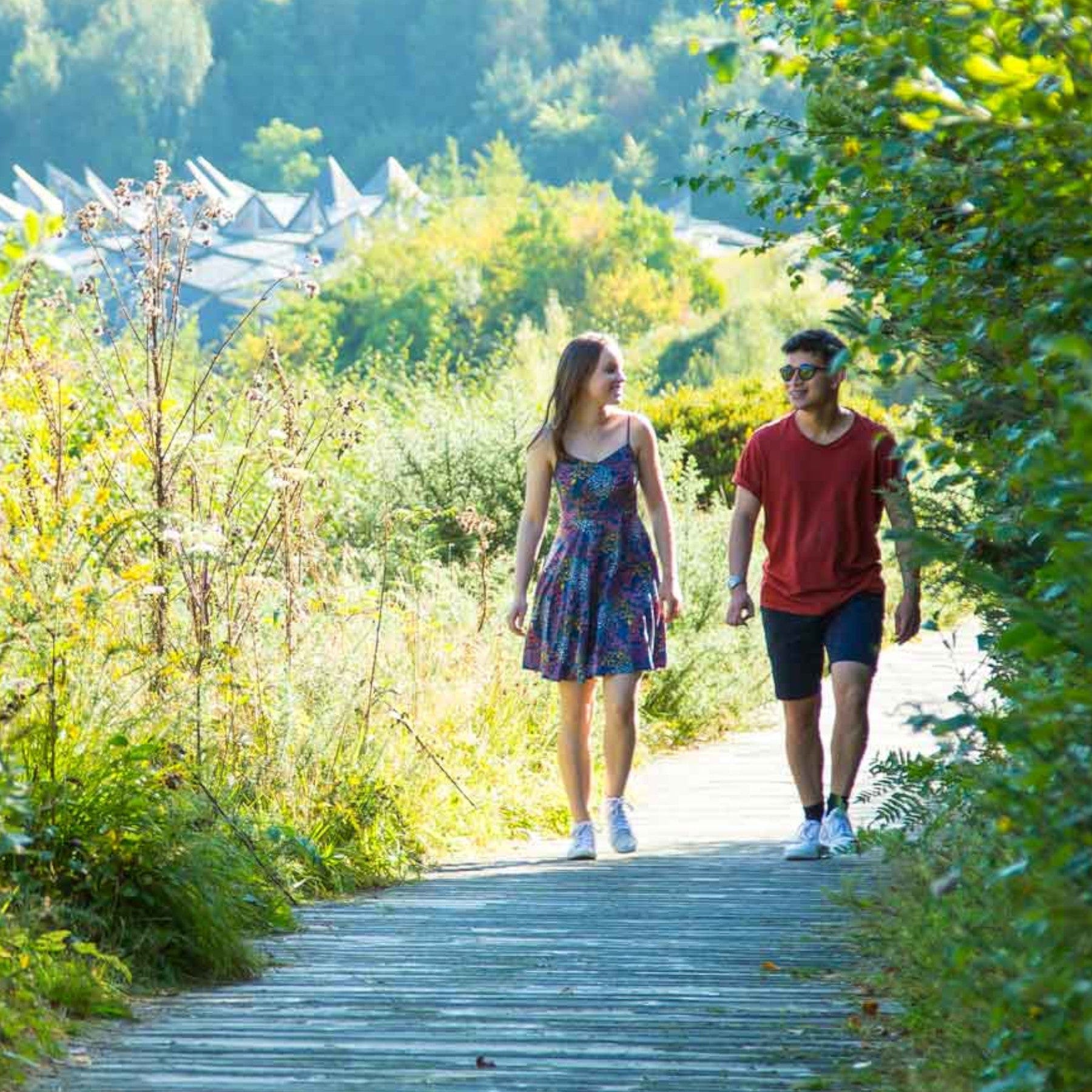 Young couple walking and talking on a wooden boardwalk amidst lush greenery on a sunny day.