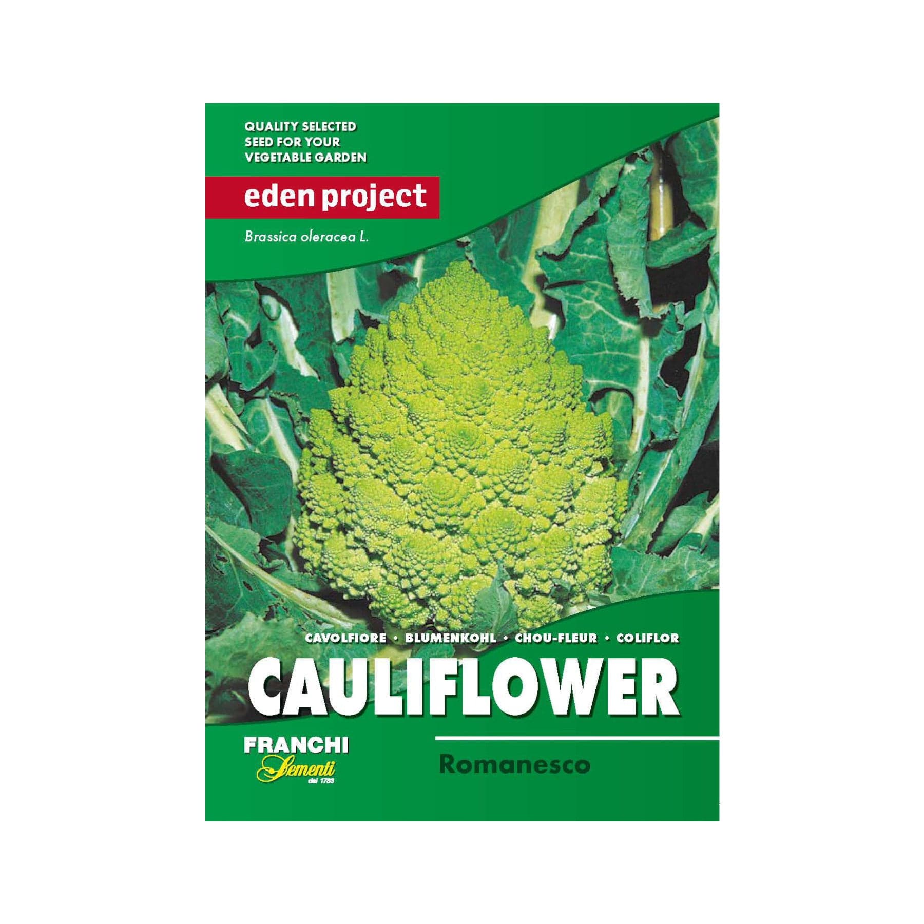 Romanesco cauliflower seed packet from Eden Project, Quality selected seed for vegetable garden, Franchi seeds, Brassica oleracea, Green packaging with cauliflower image.