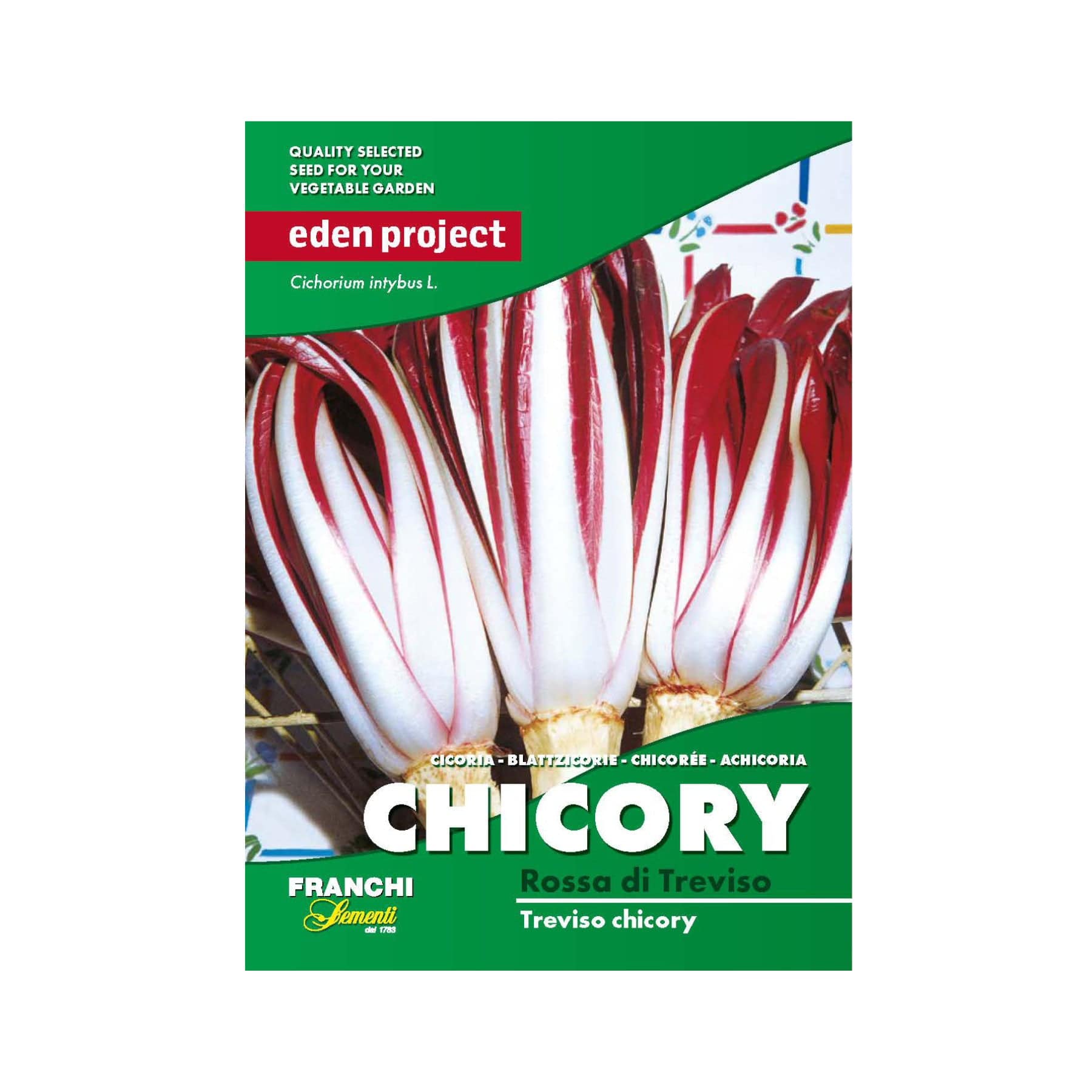Eden Project Chicory seed packet, Rossa di Treviso variety, quality selected vegetable garden seeds by Franchi Sementi, red and white leafy chicory displayed.