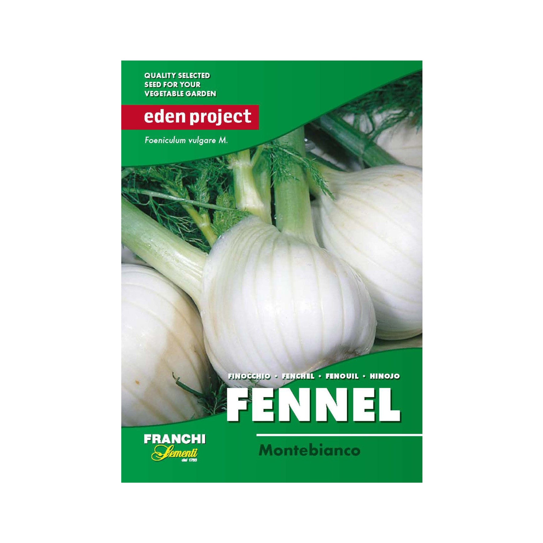 Eden Project quality selected fennel seed packet for vegetable garden by Franchi Sementi, Montebianco variety, Foeniculum vulgare, fresh fennel bulbs with green stems.