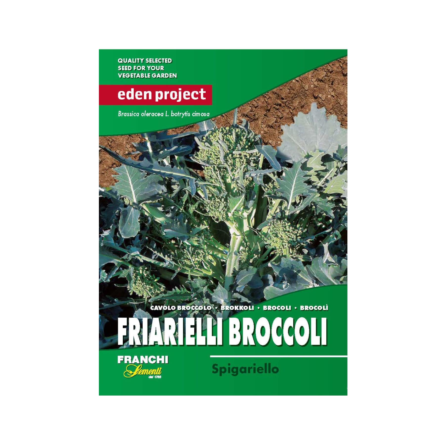 Eden Project Friarielli Broccoli seed packet by Franchi Sementi, quality selected seeds for vegetable garden, Brassica oleracea botrytis cymosa, Cavolo Broccolo, on soil background.