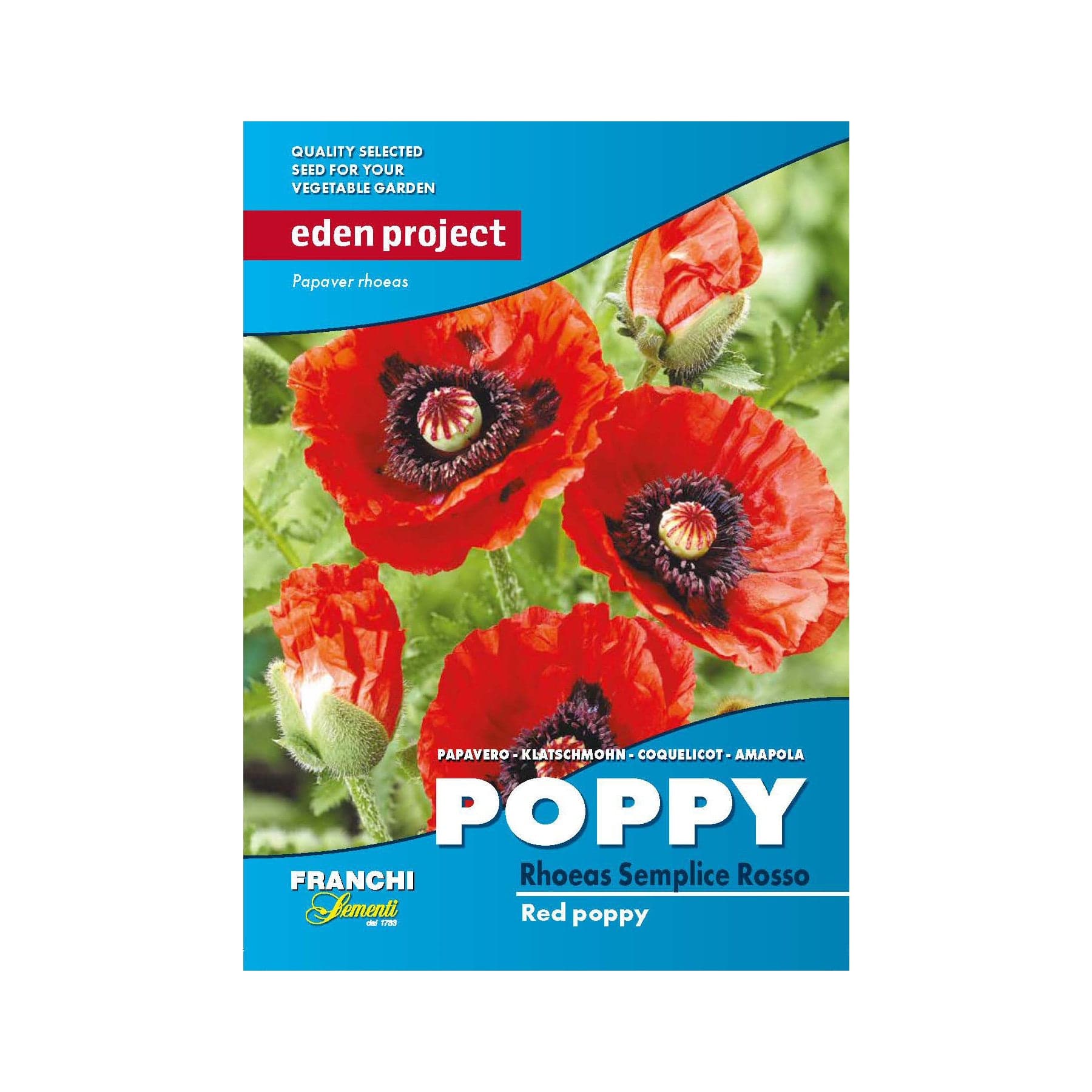Eden Project Red Poppy Flower Seed Packet from Franchi Seeds, Papaver rhoeas Semplice Rosso, Quality Selected Seed for Vegetable Garden, vibrant red poppies with green foliage.