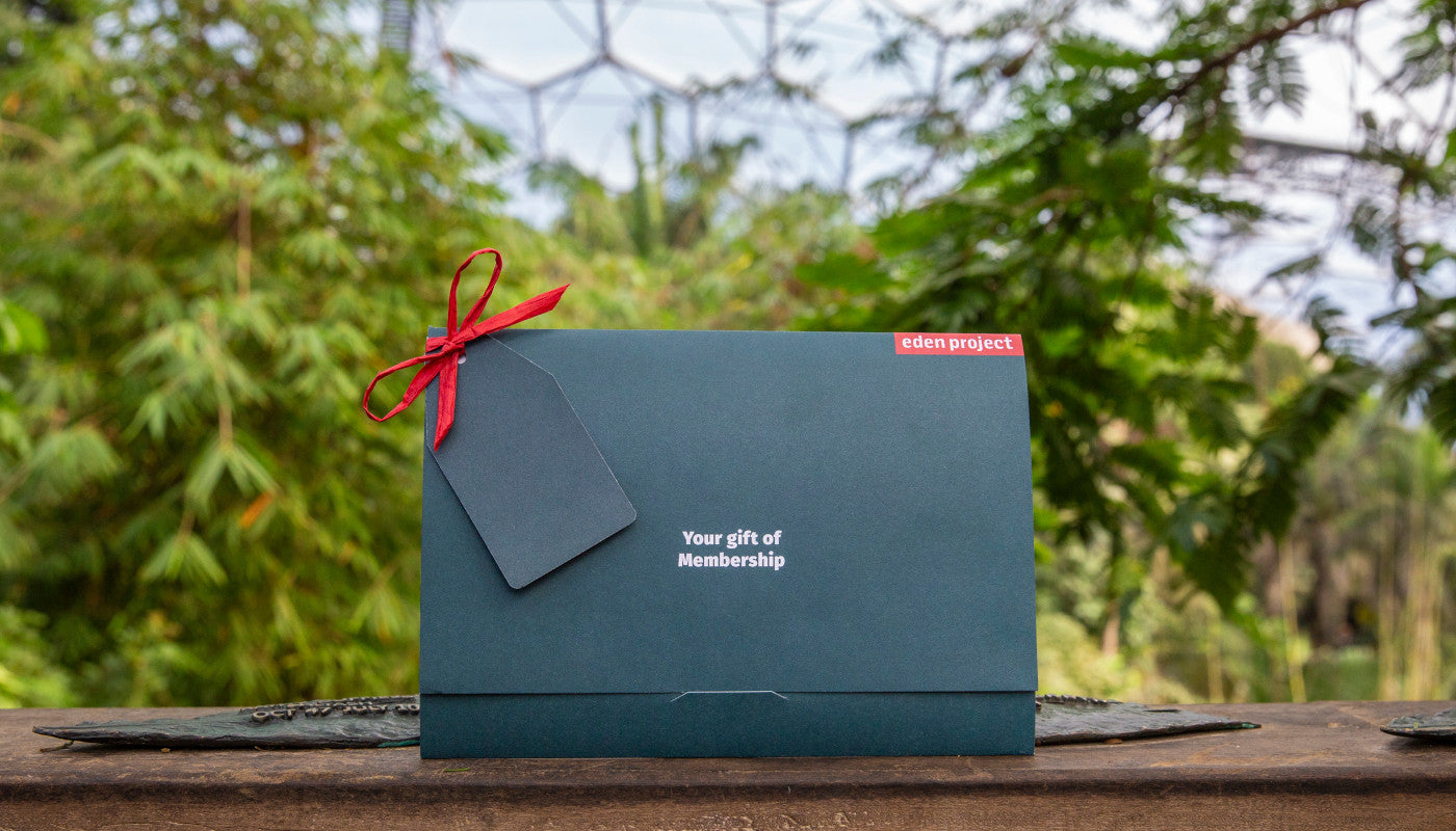 Eden Project membership gift box with red ribbon and gift tag on wooden surface against a blurred green foliage background.