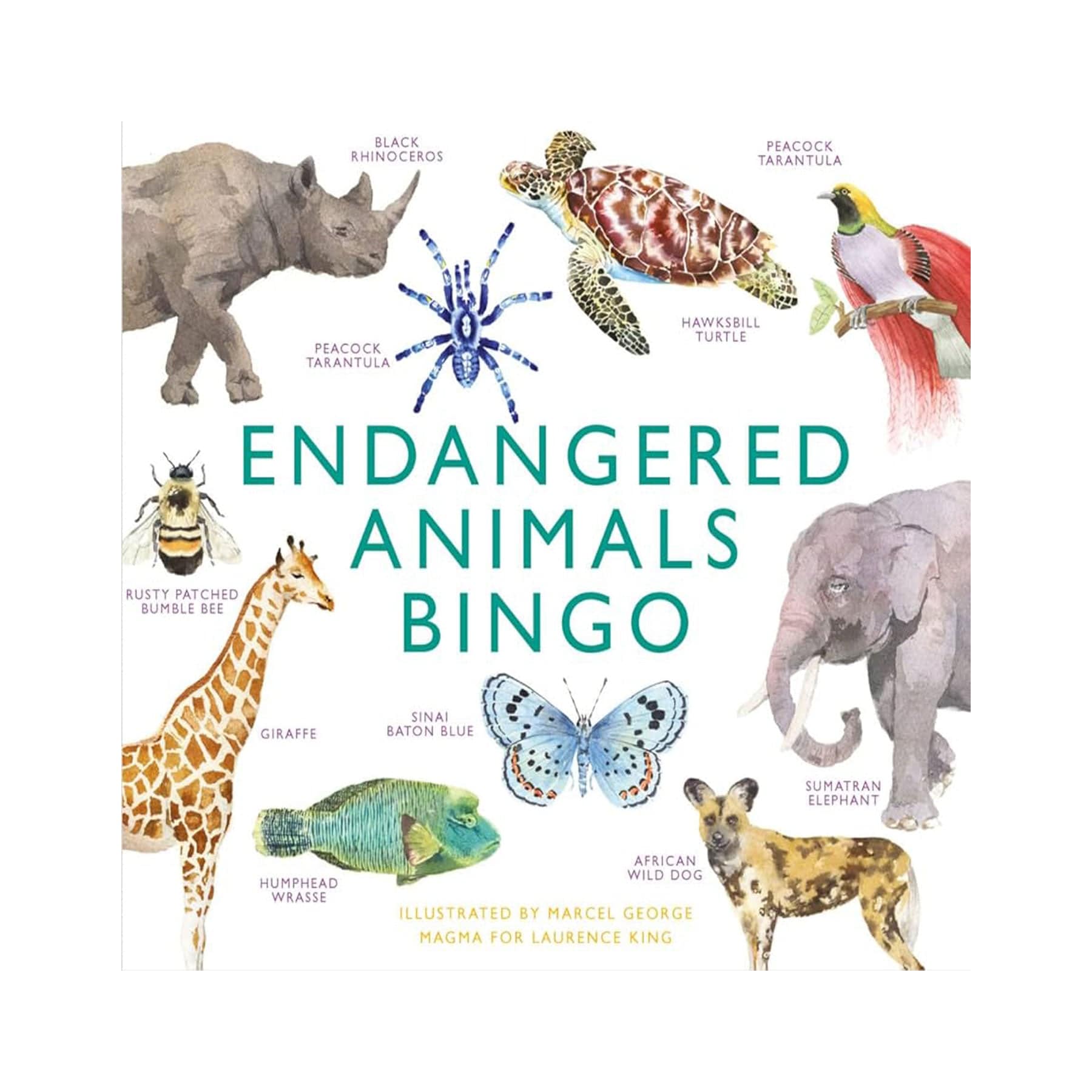 Endangered animals bingo