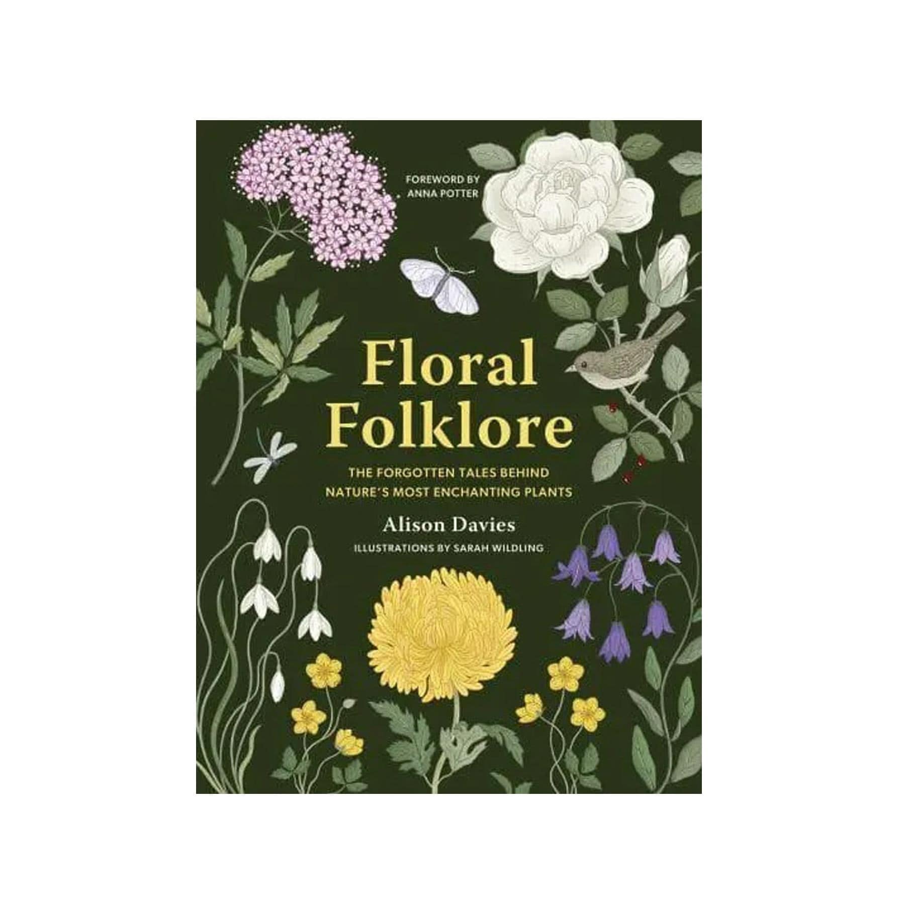 Floral folklore: the forgotten tales behind nature’s most enchanting plants