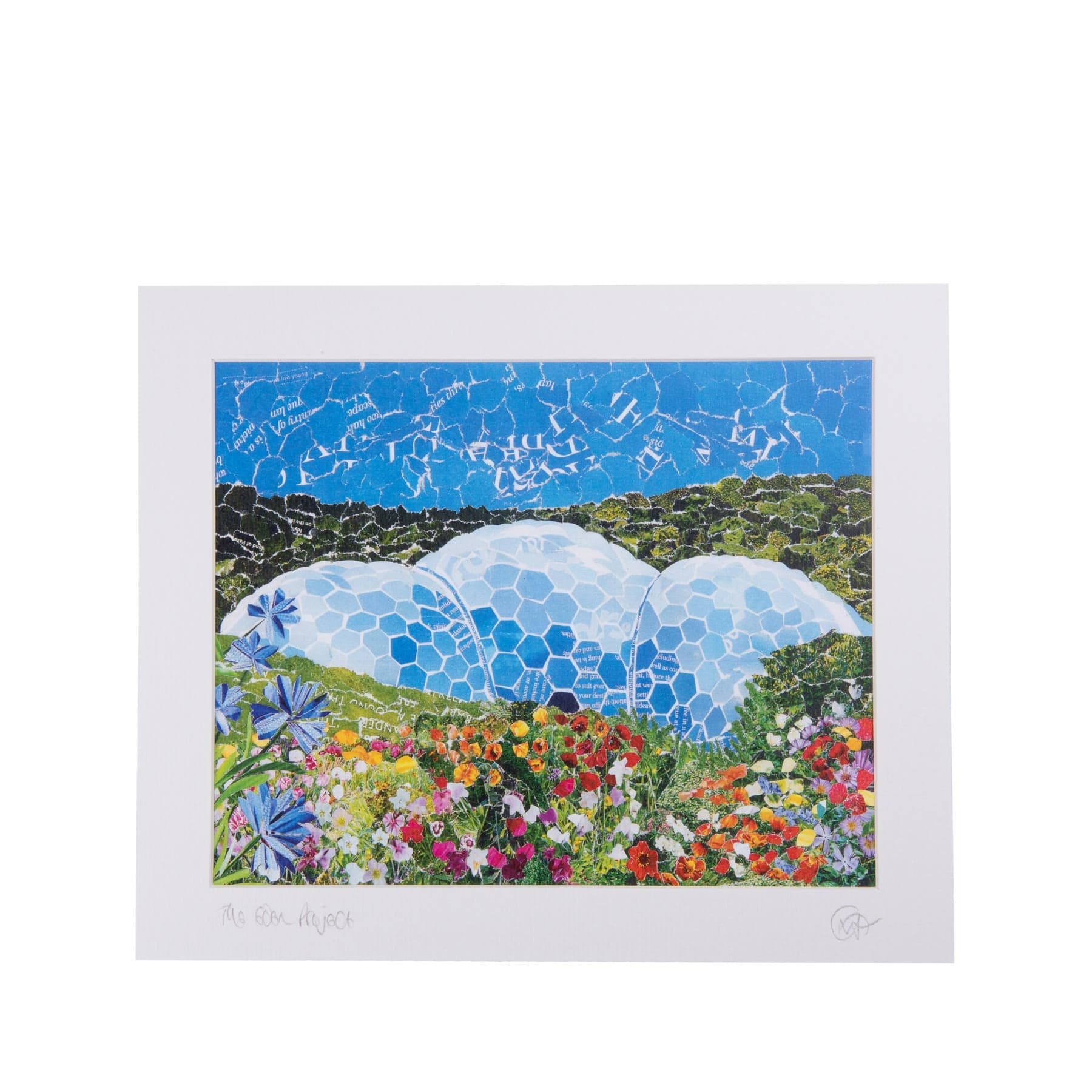 Eden Project floral biome 10x8 print