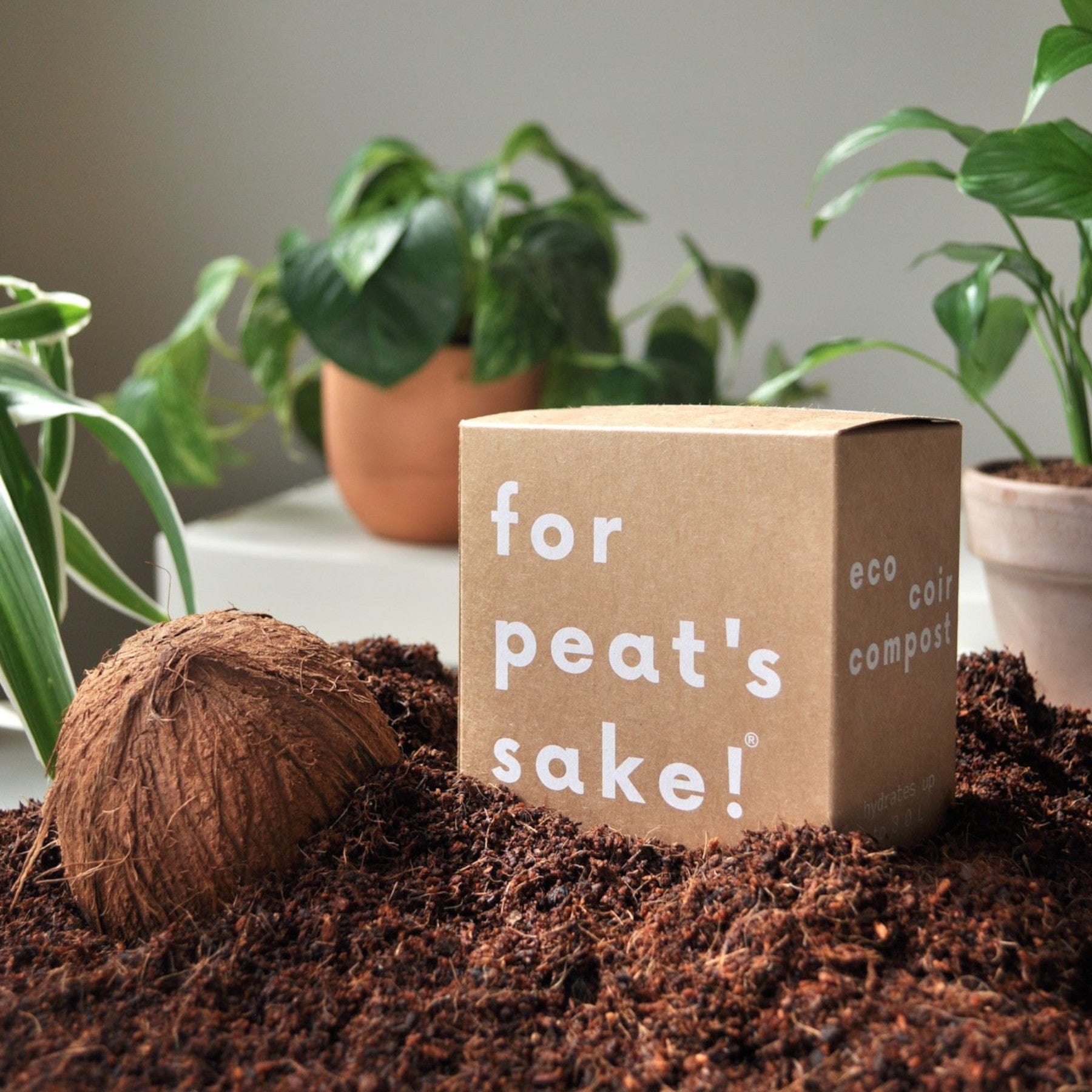 Eco-friendly coir compost packaging with humorous slogan "for peat's sake" beside a coconut husk and scattered coir on table with potted plants in the background promoting sustainable gardening