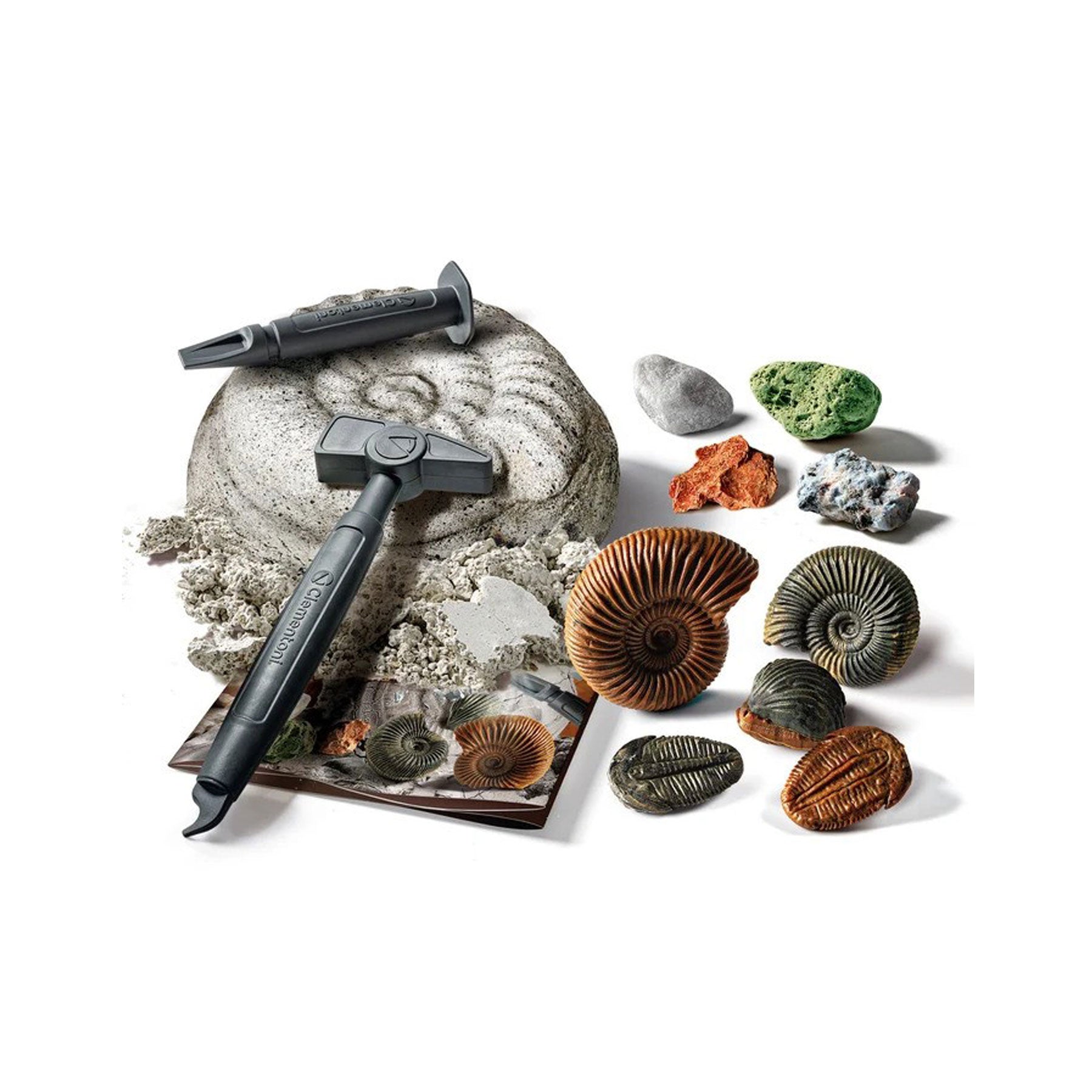 Fossils and minerals dig kit