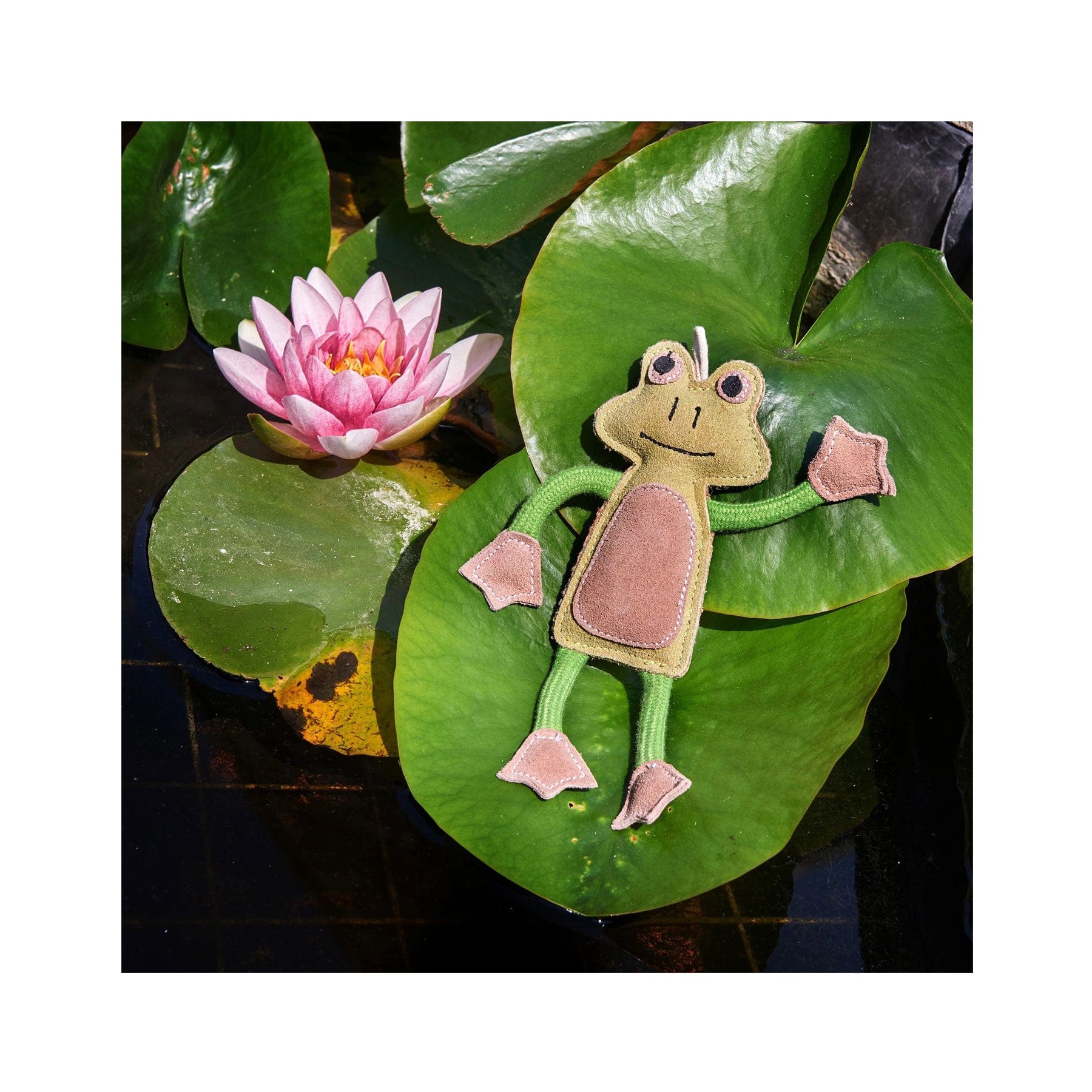 Francois le frog eco pet toy