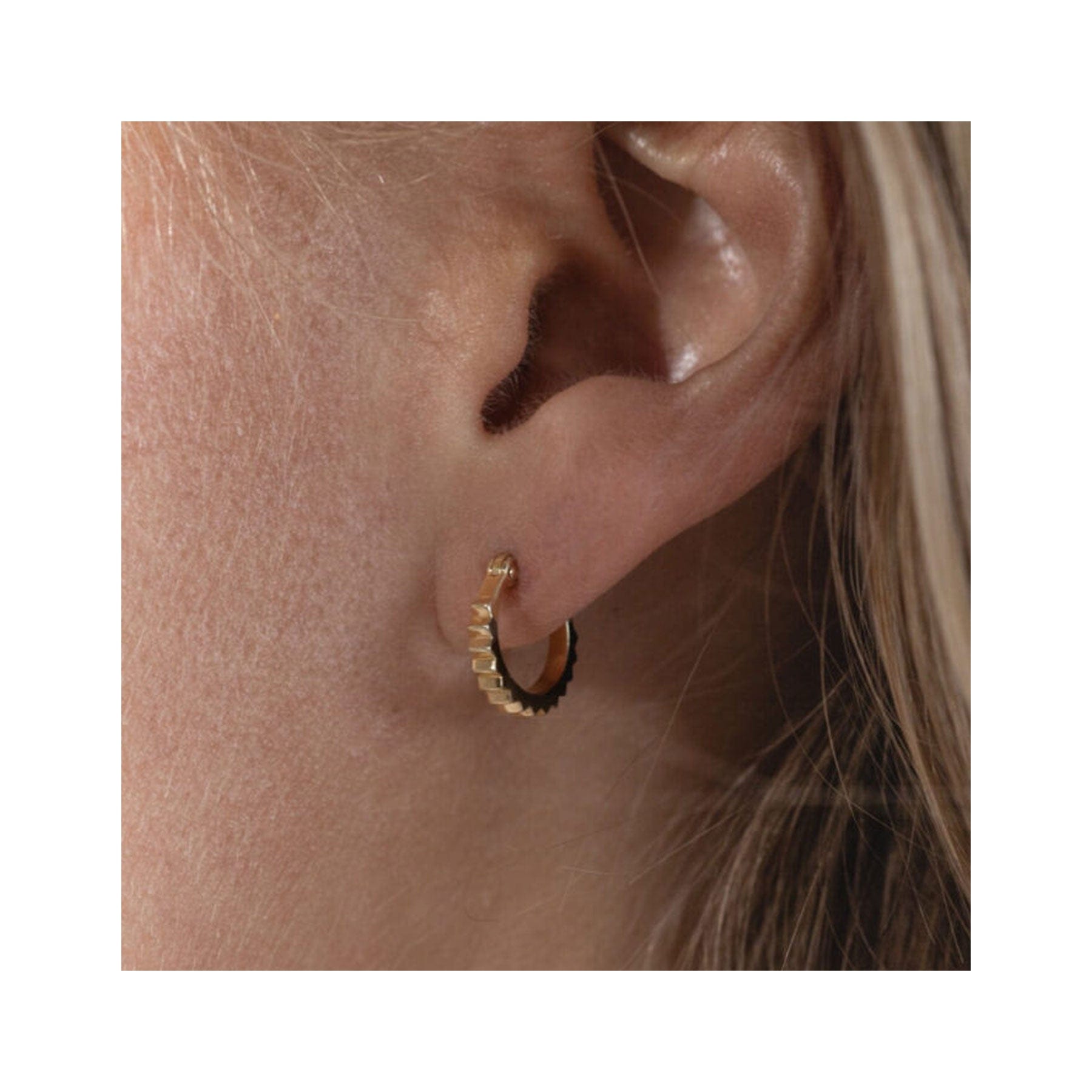 Gold wren studs