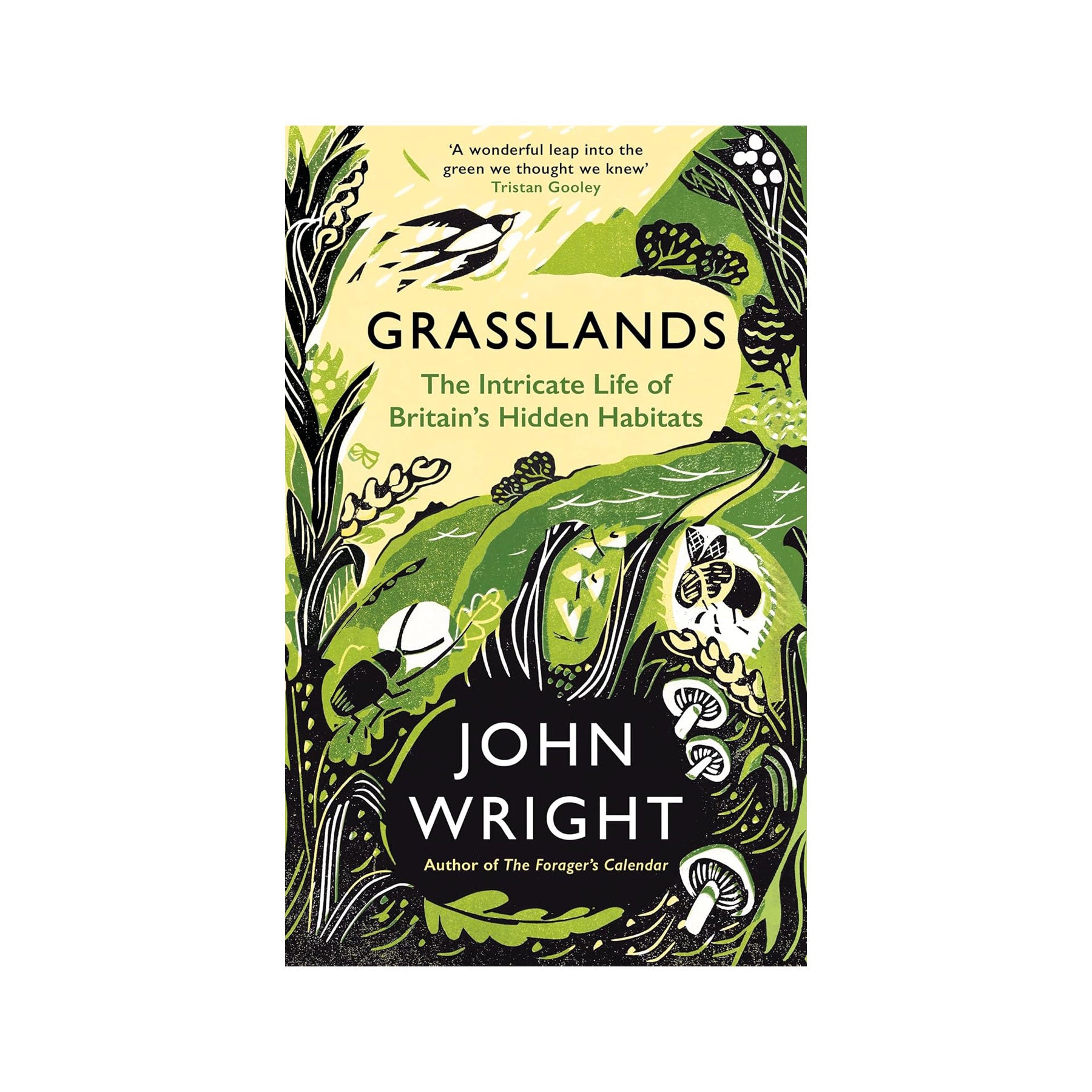 Grasslands: the intricate life of Britain's hidden habitats